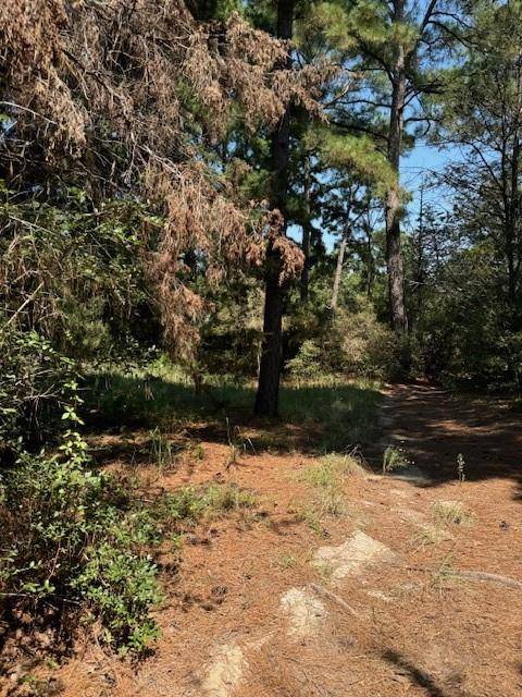 Bastrop, TX 78602,Lot 1280 S Kaupo DR