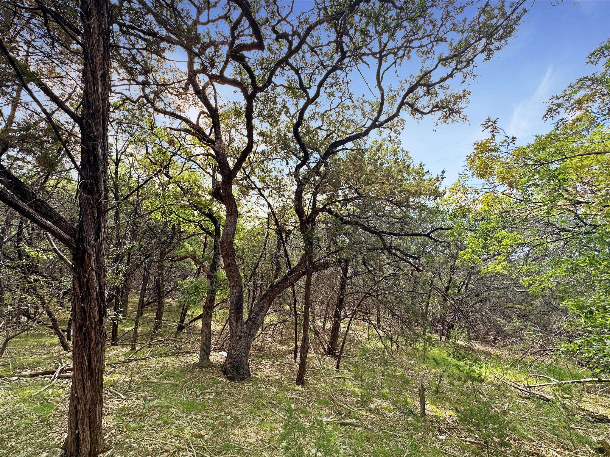 Wimberley, TX 78676,Lot 59 Columbrina LN