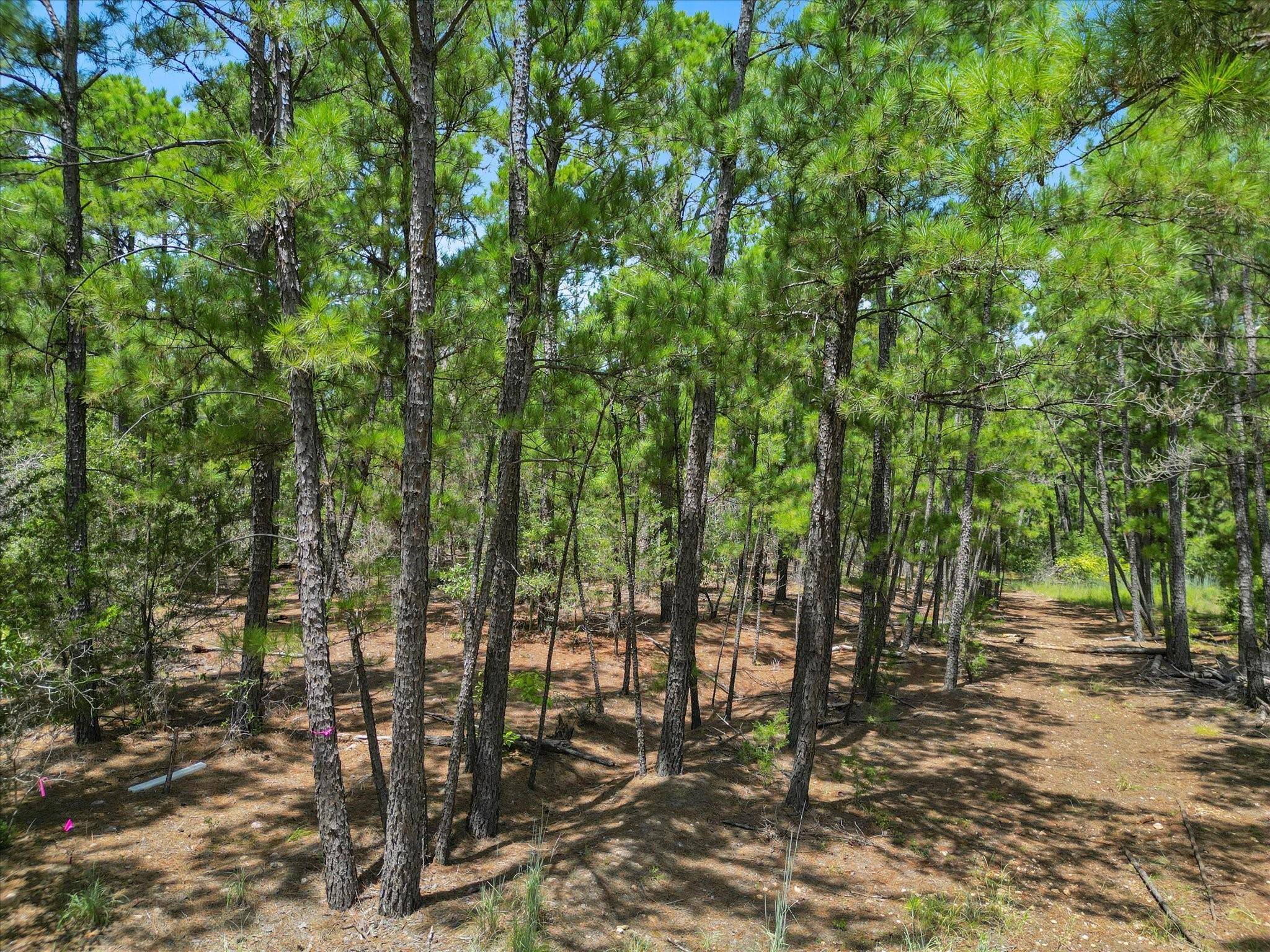 Bastrop, TX 78602,Lots 54,55,56 Akala LN