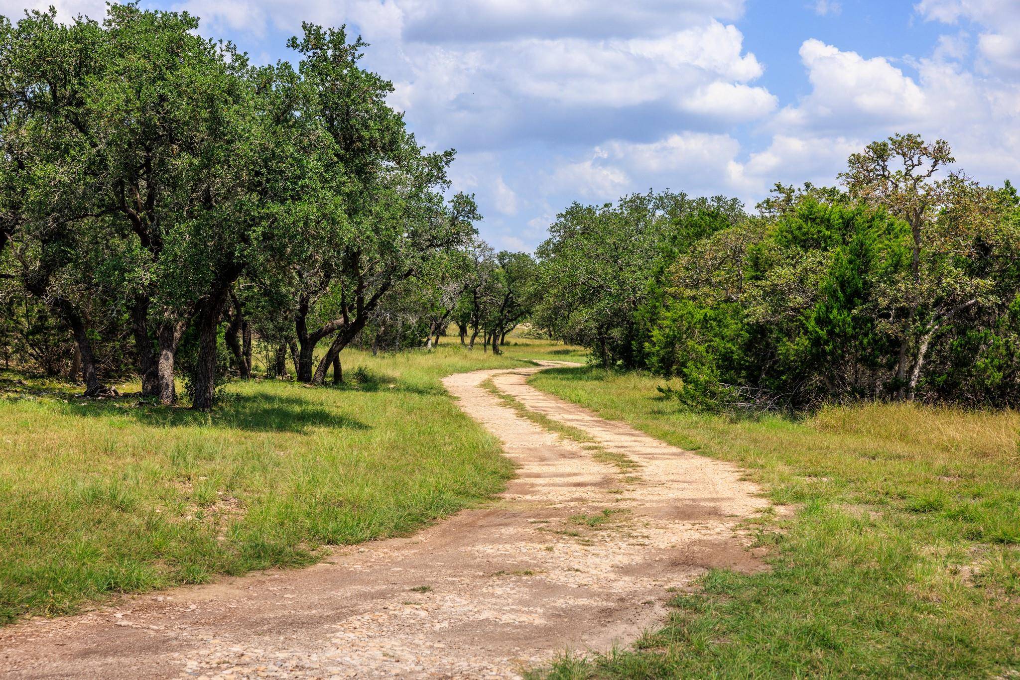Fredericksburg, TX 78624,456 Colt Valley RD