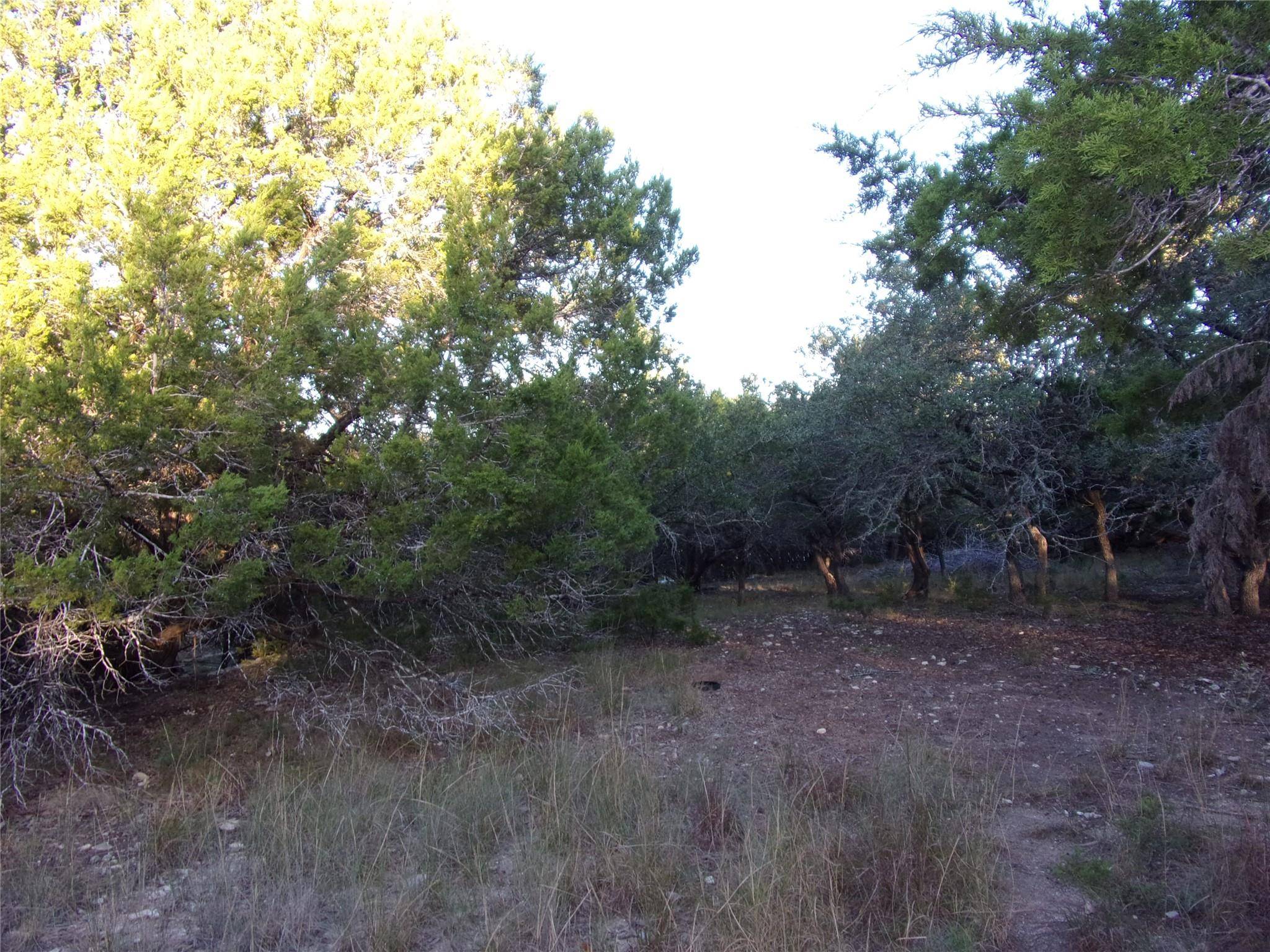 Canyon Lake, TX 78133,361/395 Mountain Wood DR