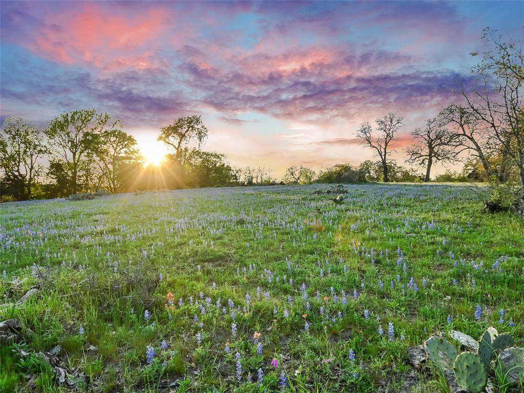 Bastrop, TX 78602,250 Reids BND