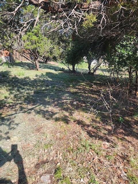 Point Venture, TX 78645,18510 Staghorn DR