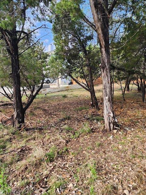 Point Venture, TX 78645,18510 Staghorn DR