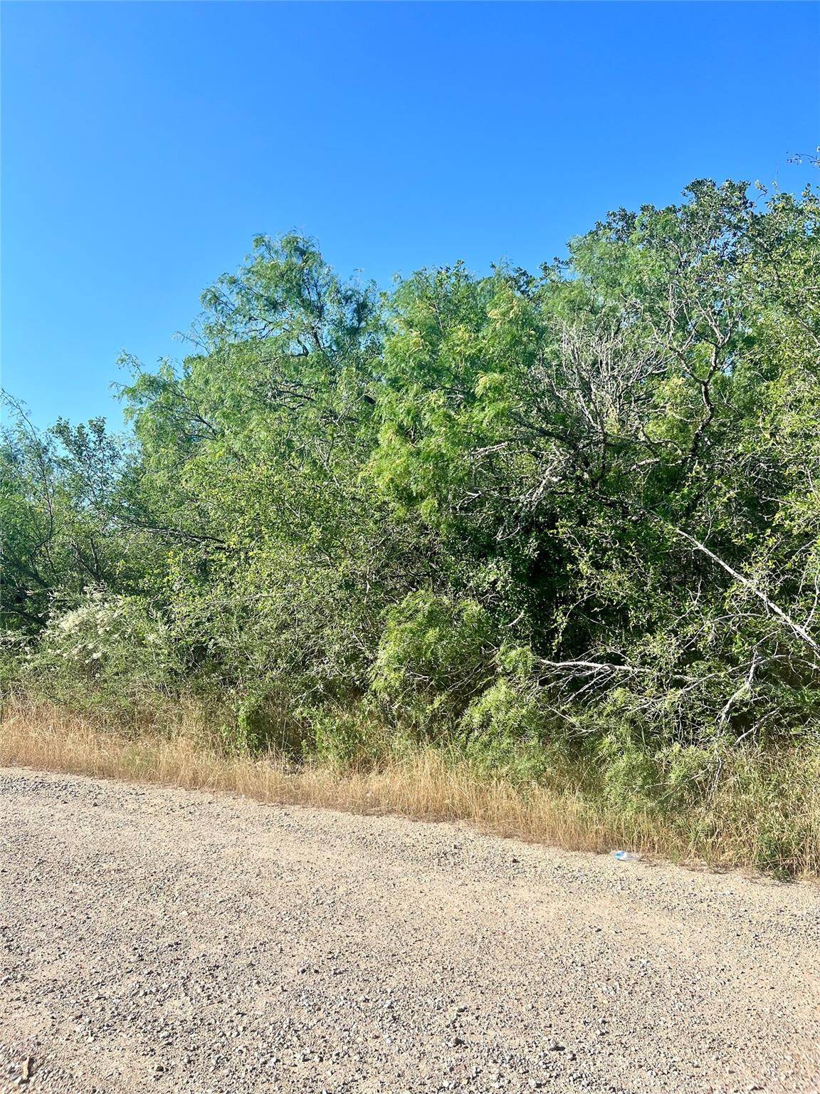 Bastrop, TX 78602,179 Helemano DR