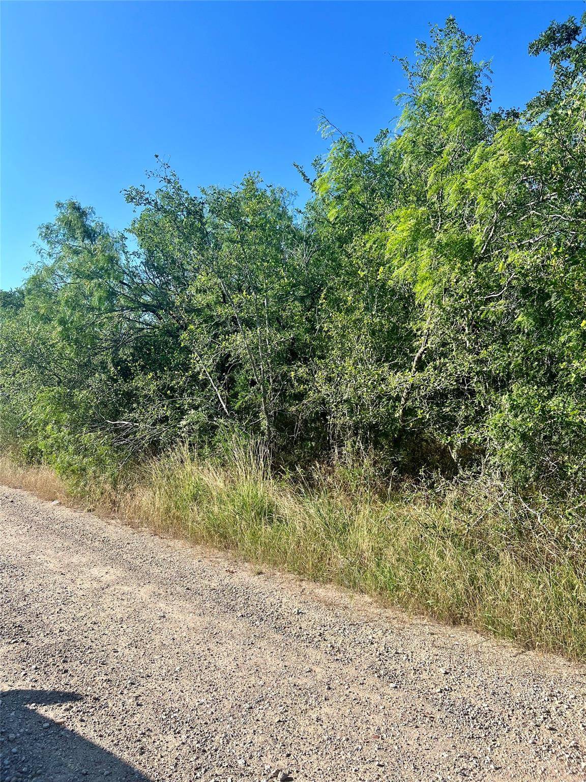 Bastrop, TX 78602,179 Helemano DR
