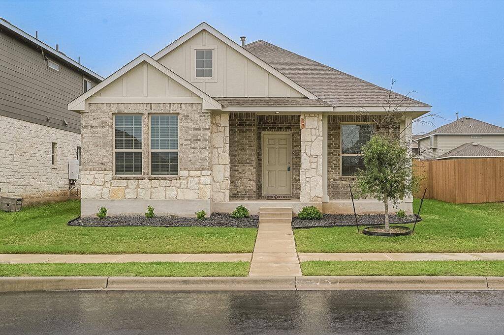 Georgetown, TX 78626,237 Arabian Colt DR