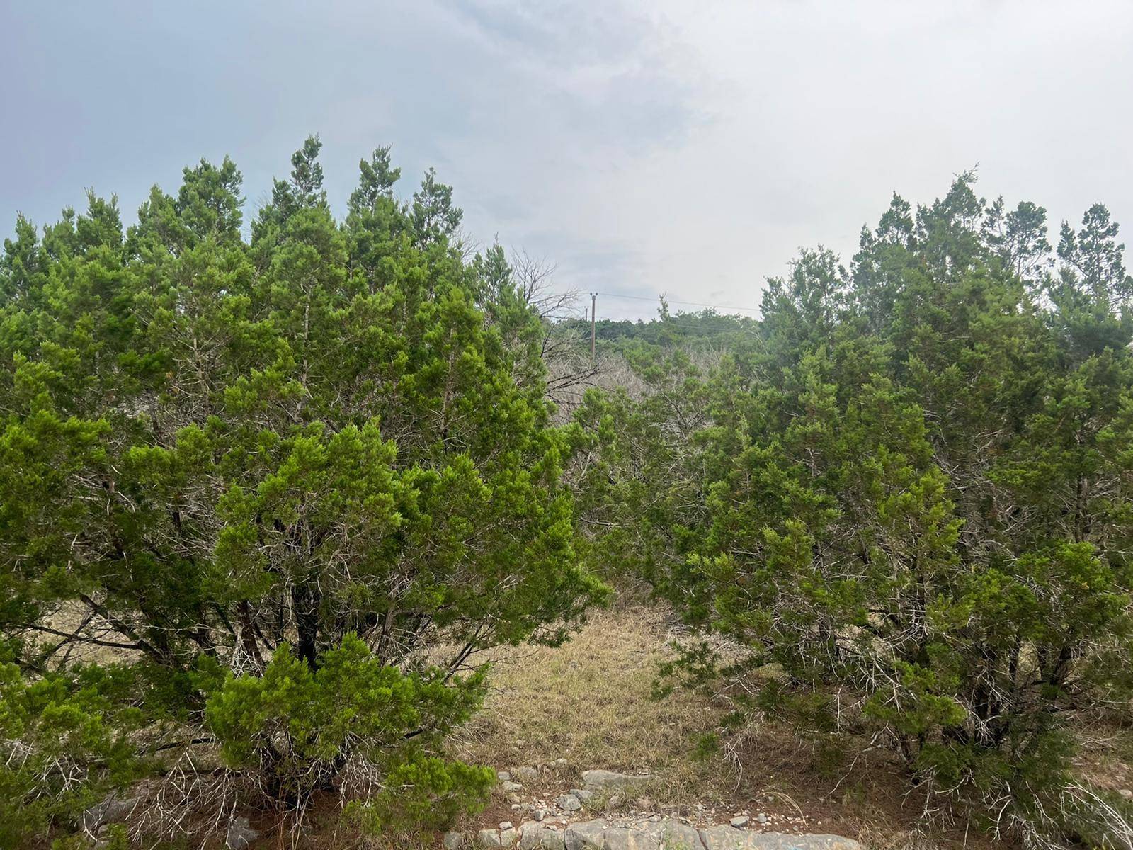 Canyon Lake, TX 78133,651 Rockmoor DR