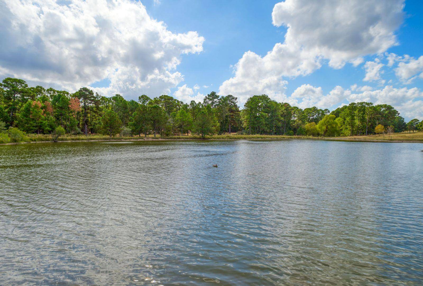 Smithville, TX 78957,0000 Gotier Trace RD