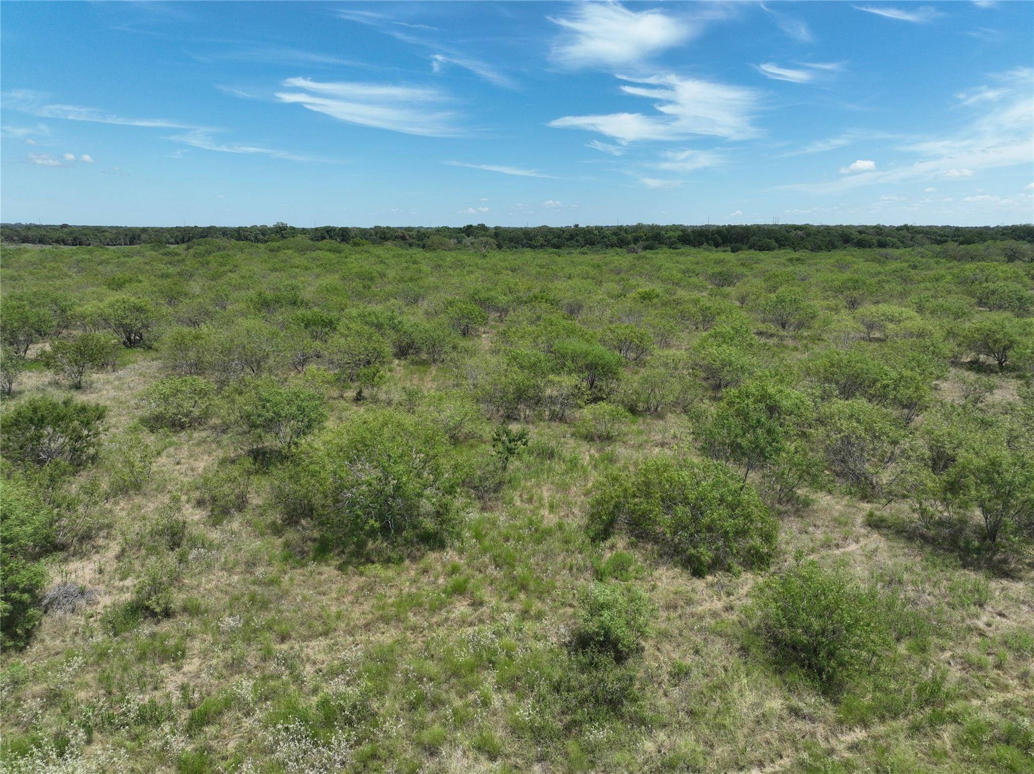 Lockhart, TX 78662,TBD Lot 1 Young LN