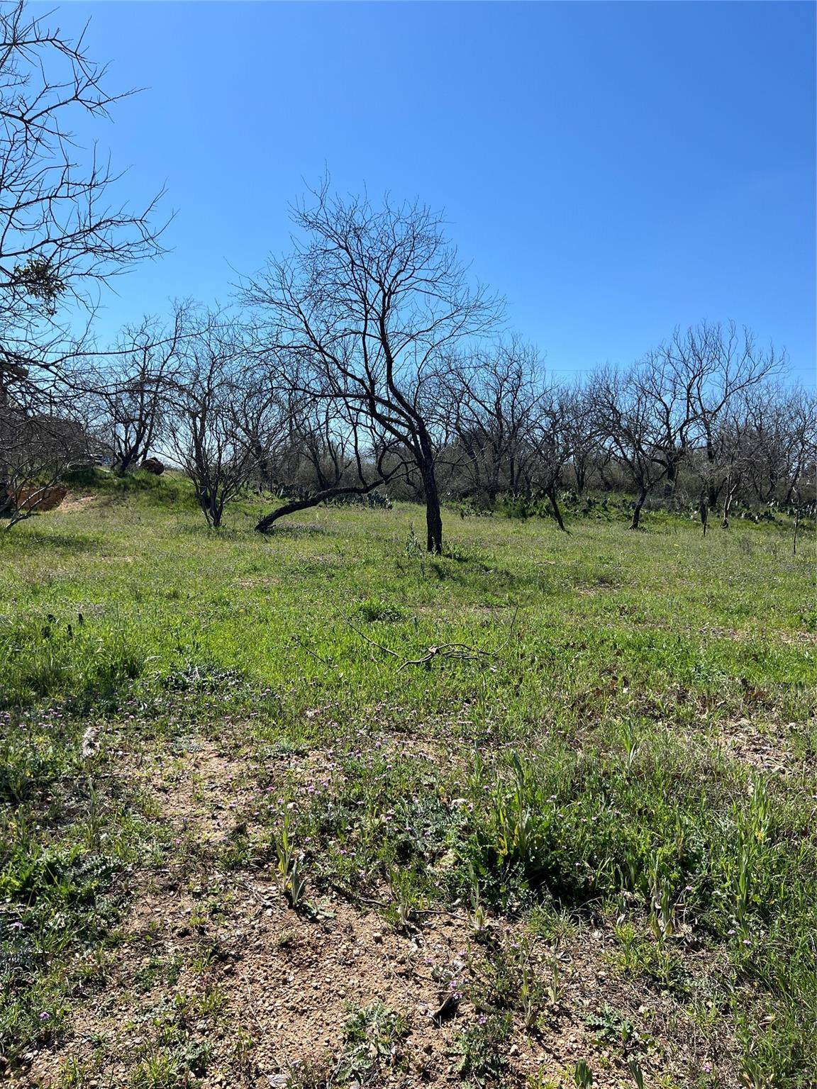 Granite Shoals, TX 78654,Lot 397 E. Mesquite Dr.