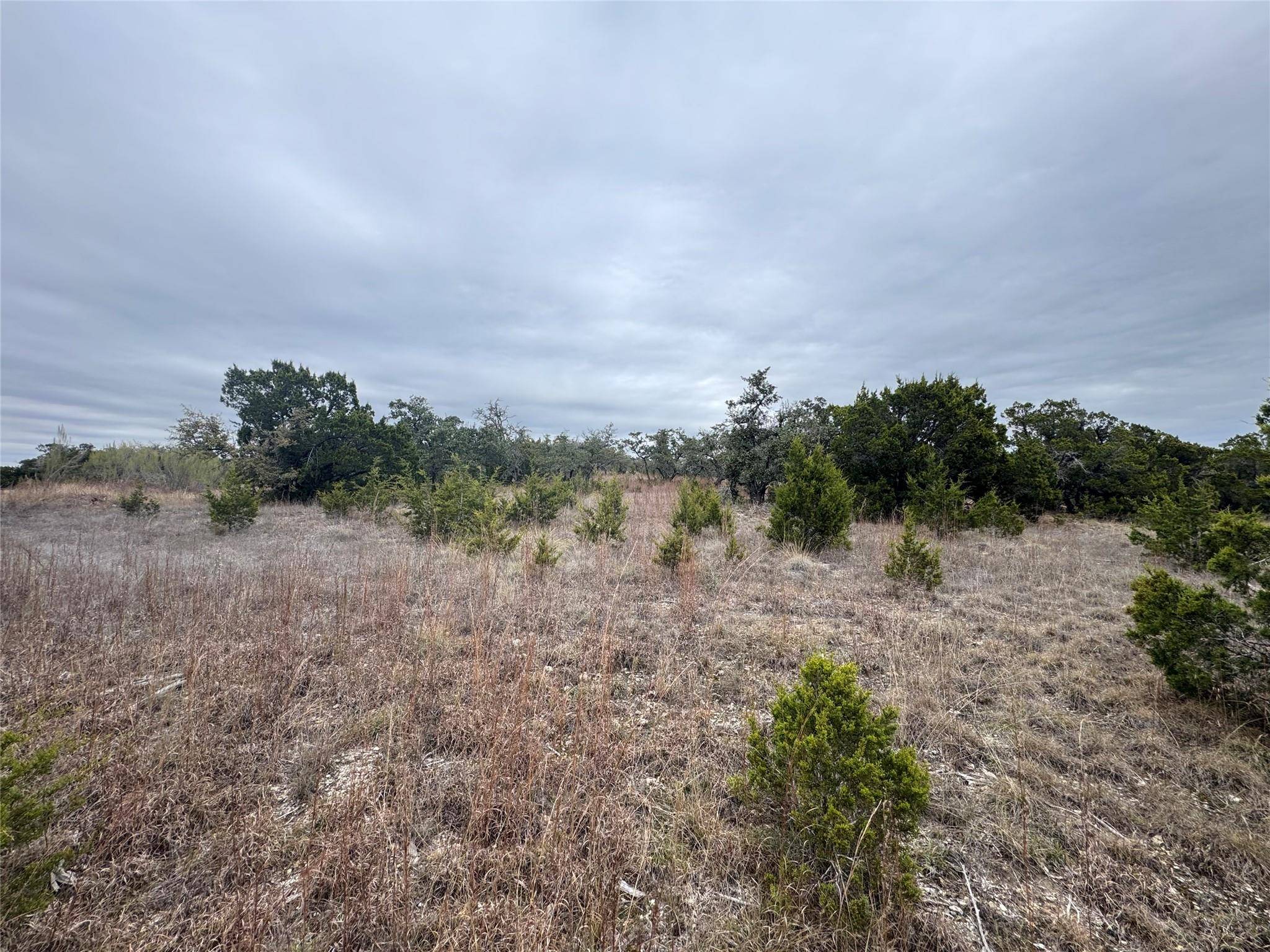 Dripping Springs, TX 78620,31858 Ranch Road 12 #Lot 8