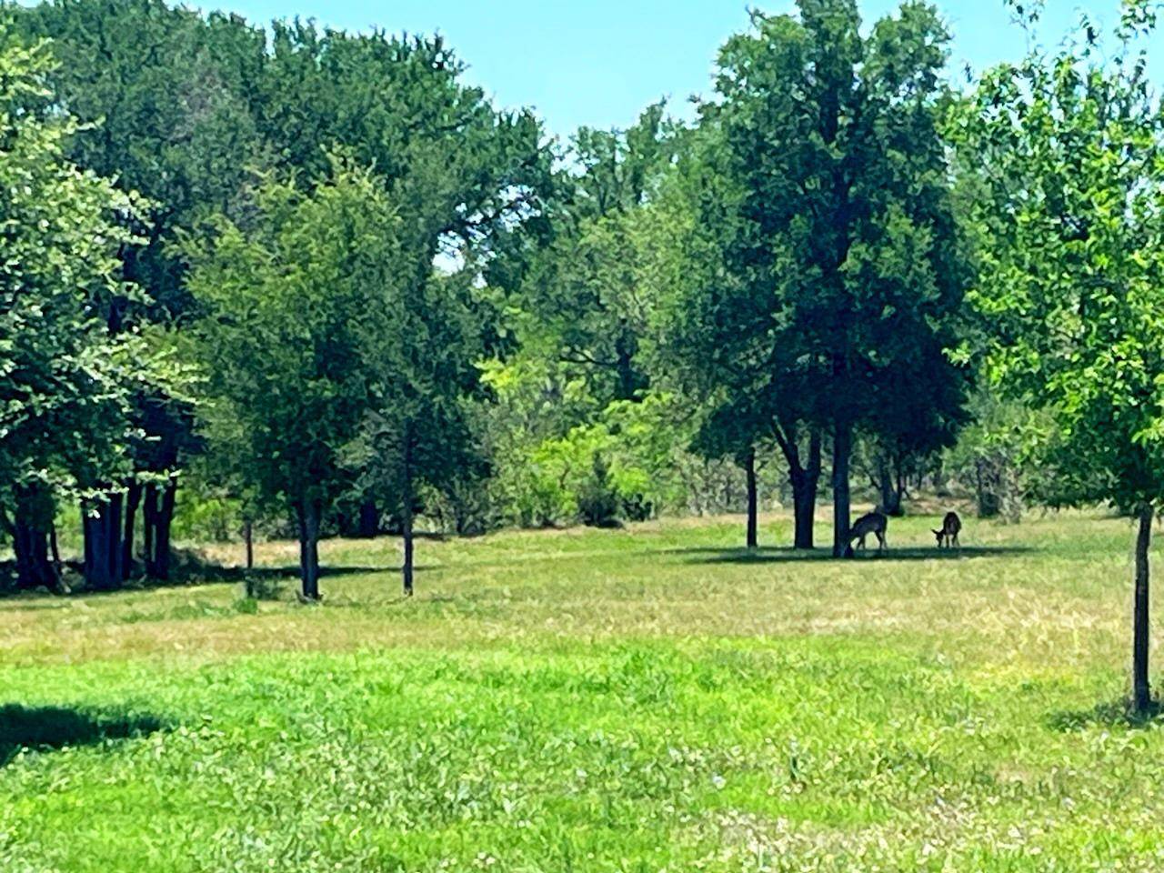 Bastrop, TX 78602,873 Shiloh RD