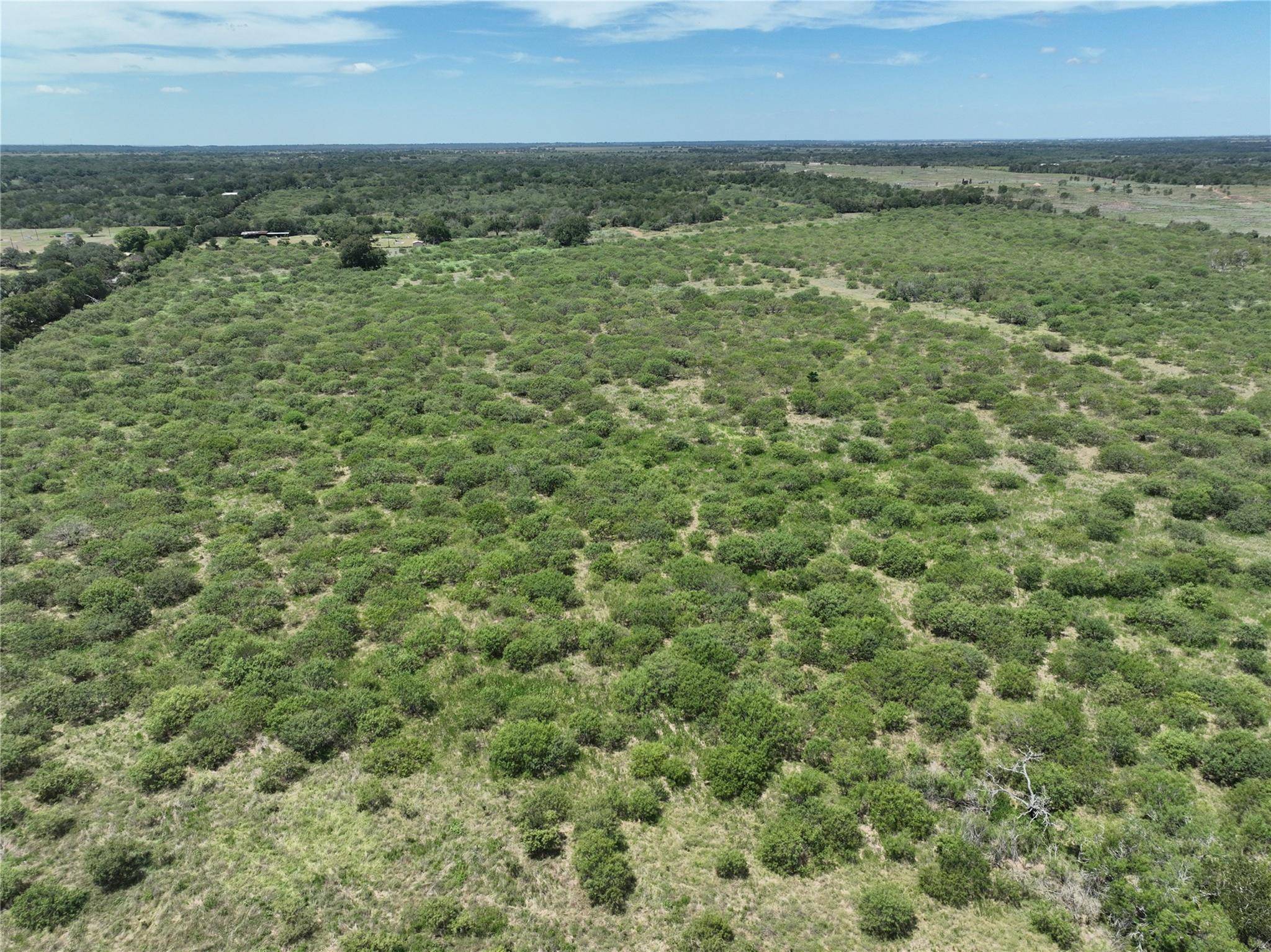 Lockhart, TX 78662,TBD Lot 11 Young LN