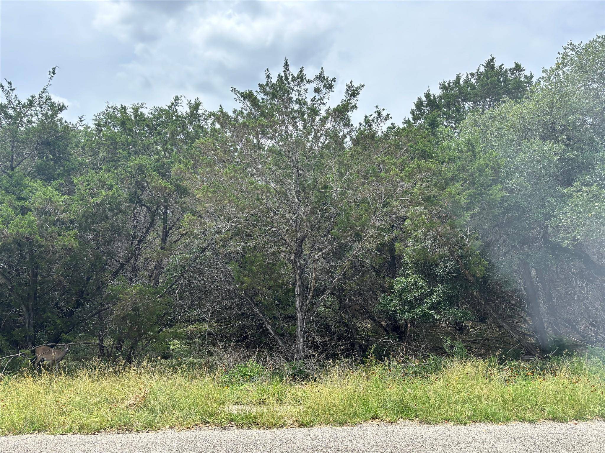 Canyon Lake, TX 78133,1575 Eastview DR