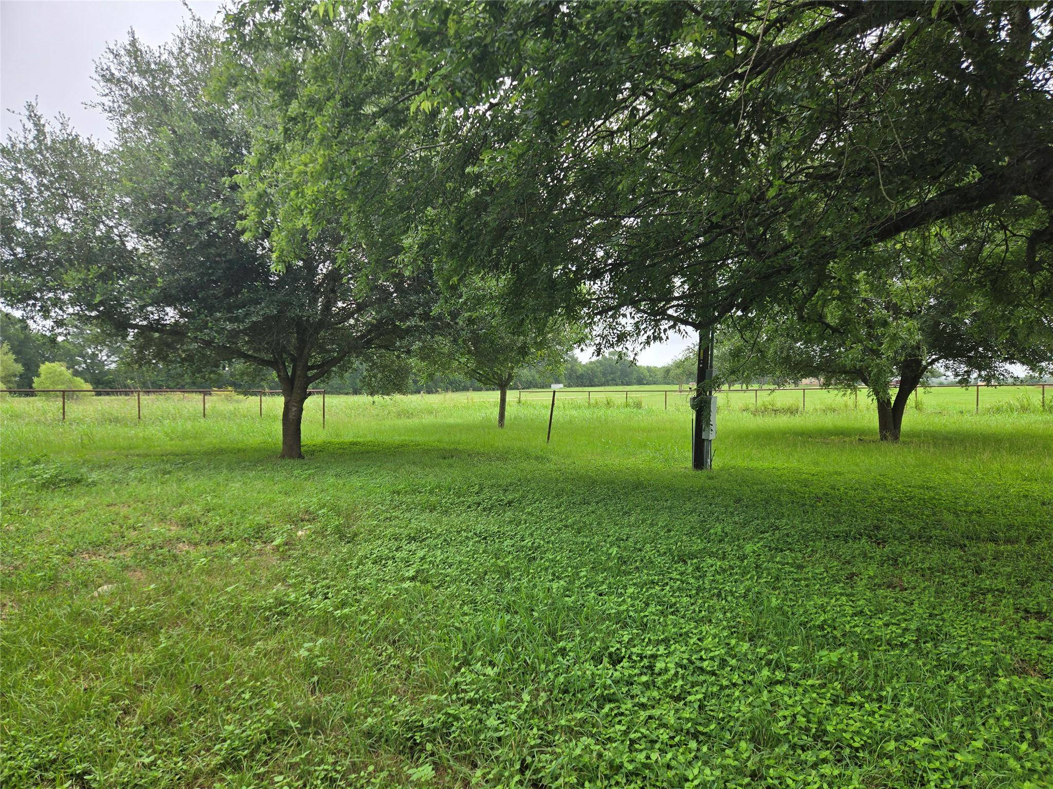 Lexington, TX 78947,3242 E Fm 696