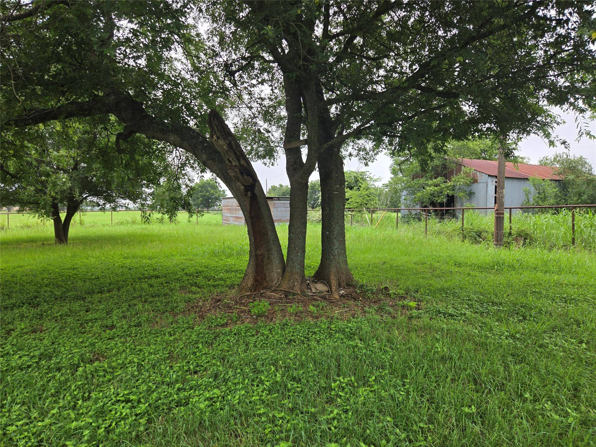 Lexington, TX 78947,3242 E Fm 696