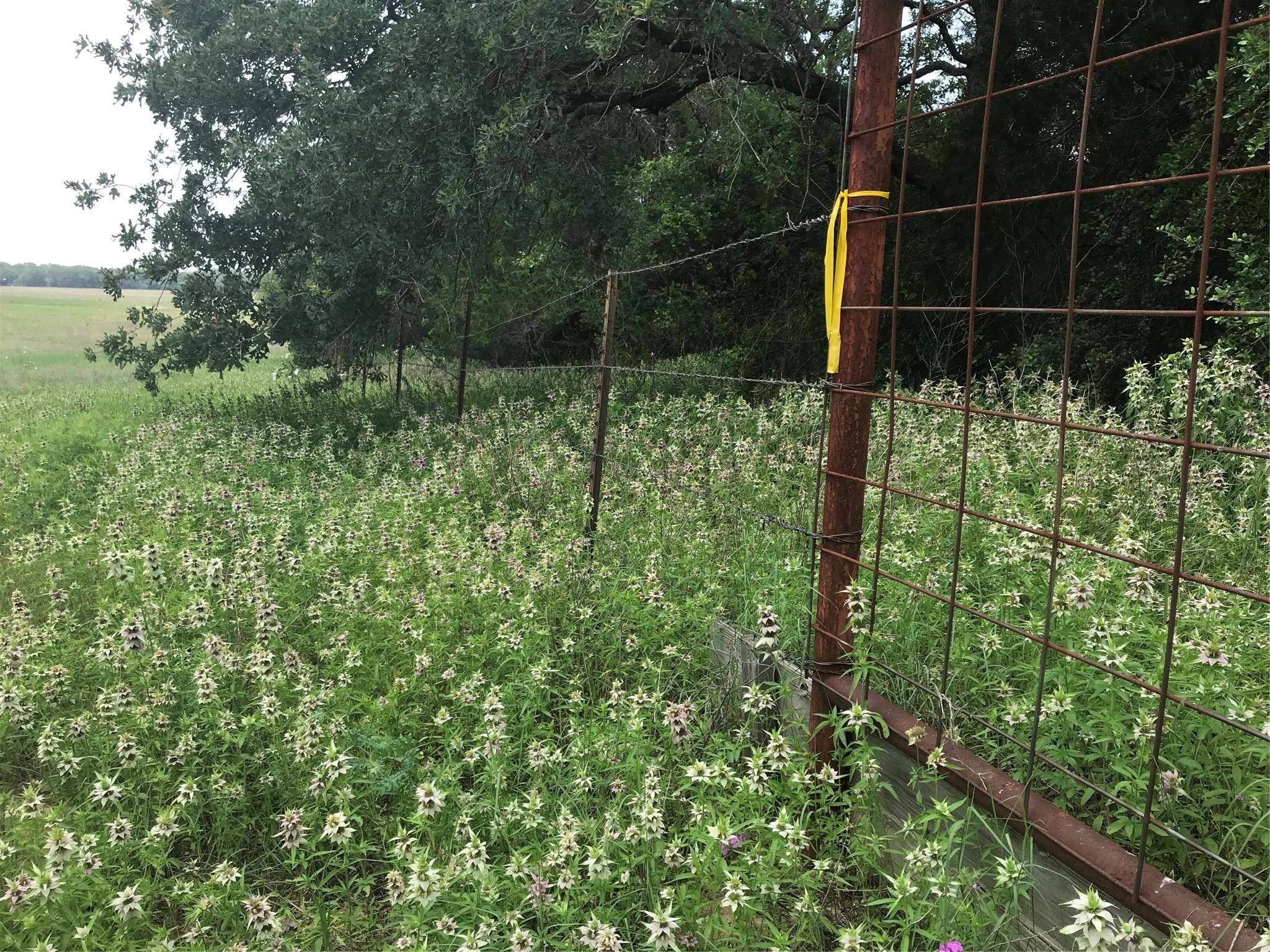 Bastrop, TX 78602,1672 Tract 1 Sayers RD