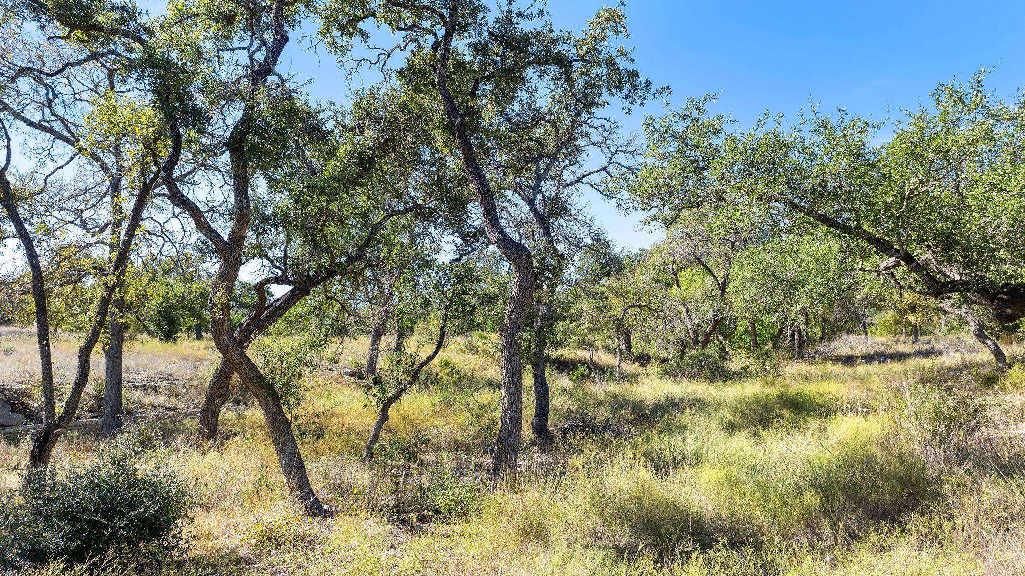 Dripping Springs, TX 78620,18 Mesa Ranch Rd RD