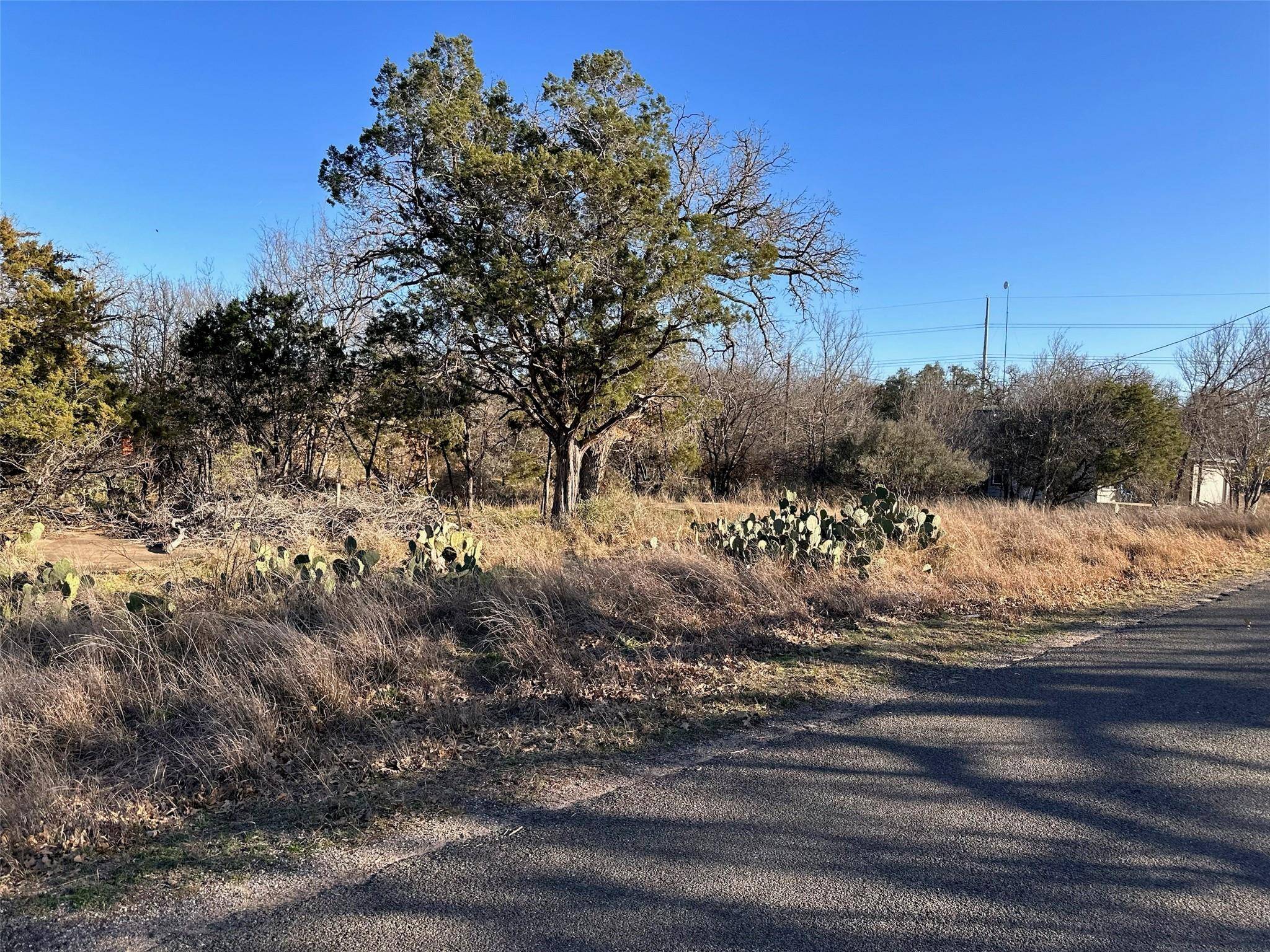 Cottonwood Shores, TX 78657,Lot212 Pecan LN