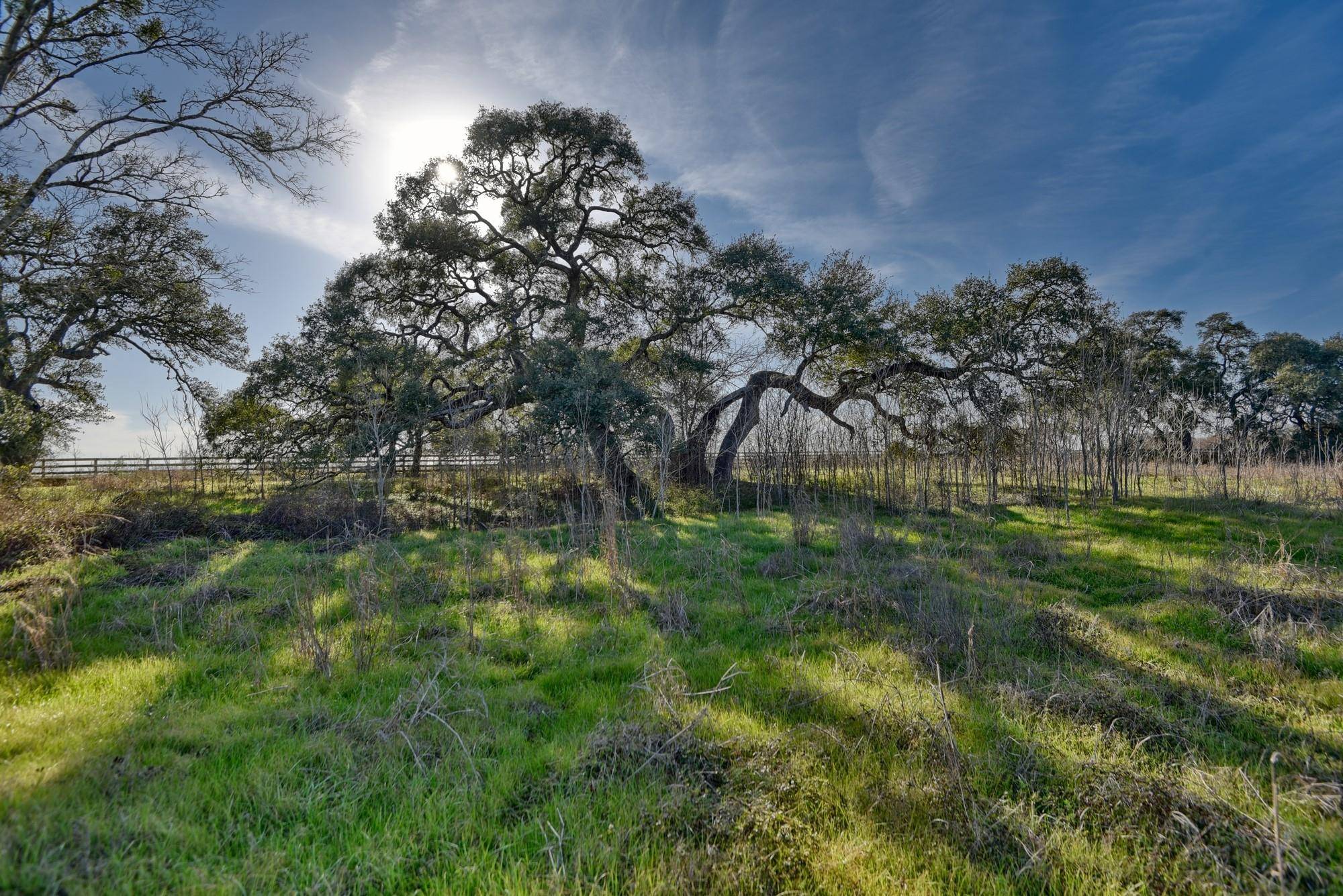 Burton, TX 77835,1855 FM 1948 RD N