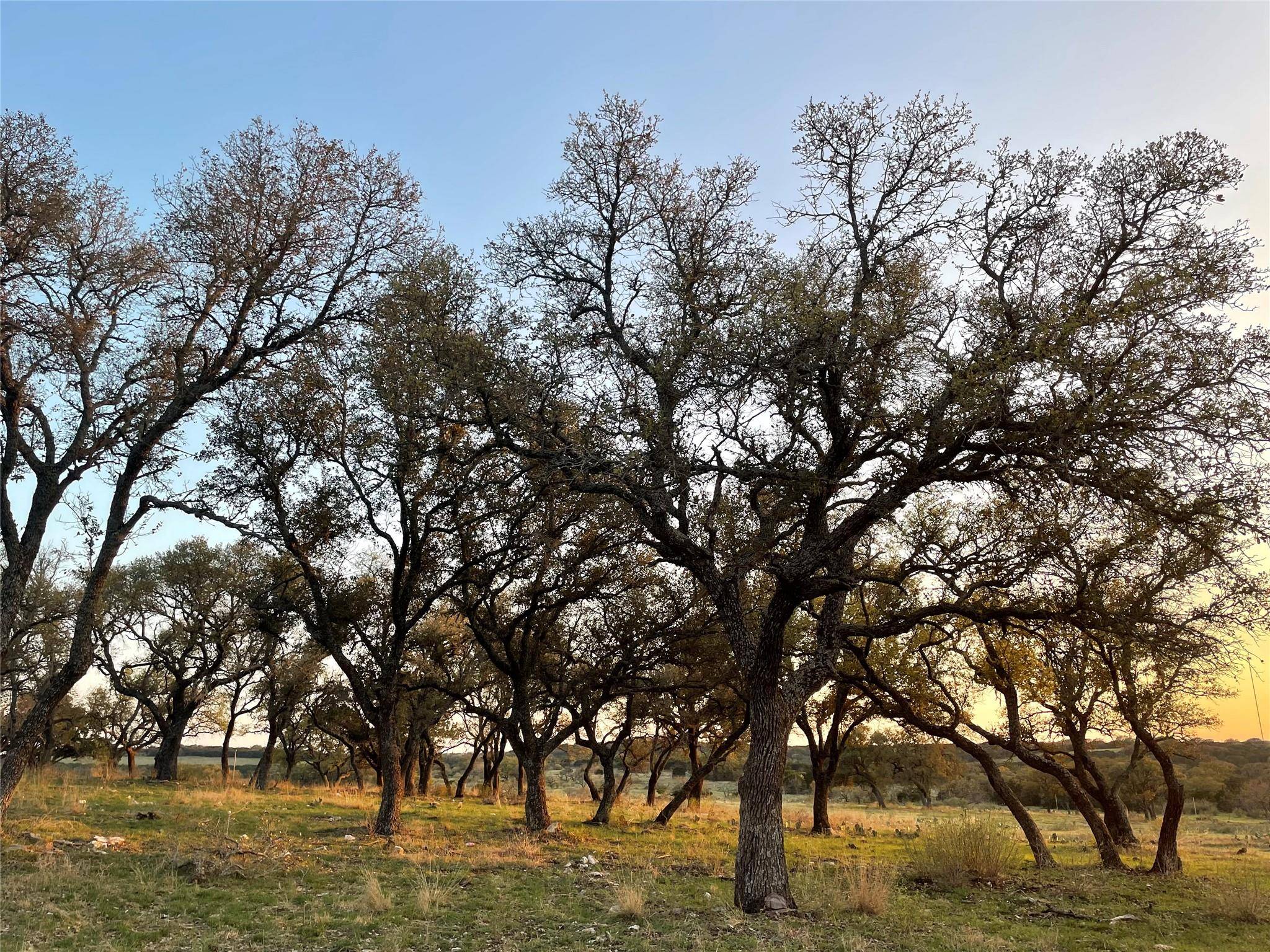 San Saba, TX 76877,Address not disclosed