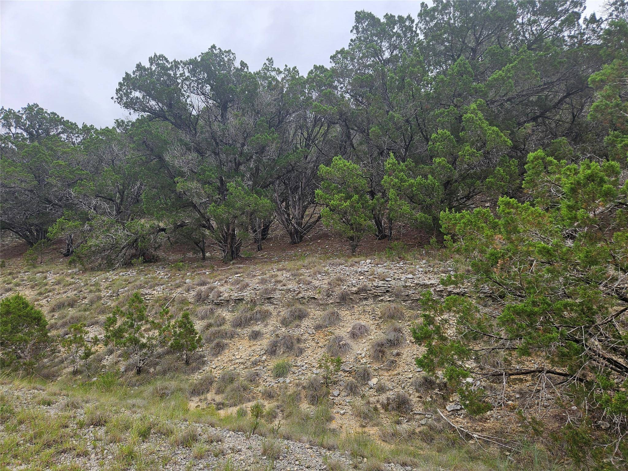 Lago Vista, TX 78645,8113 Arroyo Ave