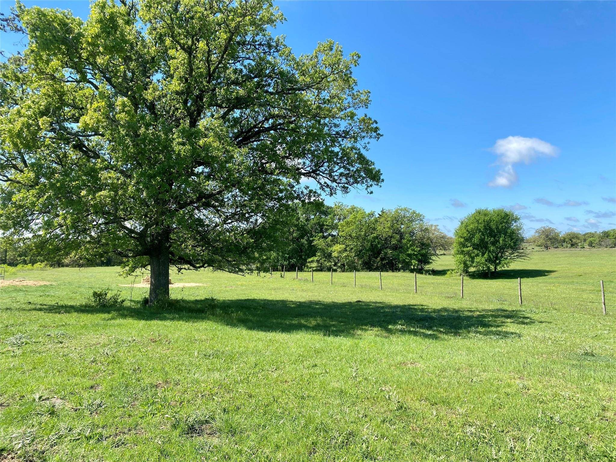 Giddings, TX 78942,1084 County Road 120
