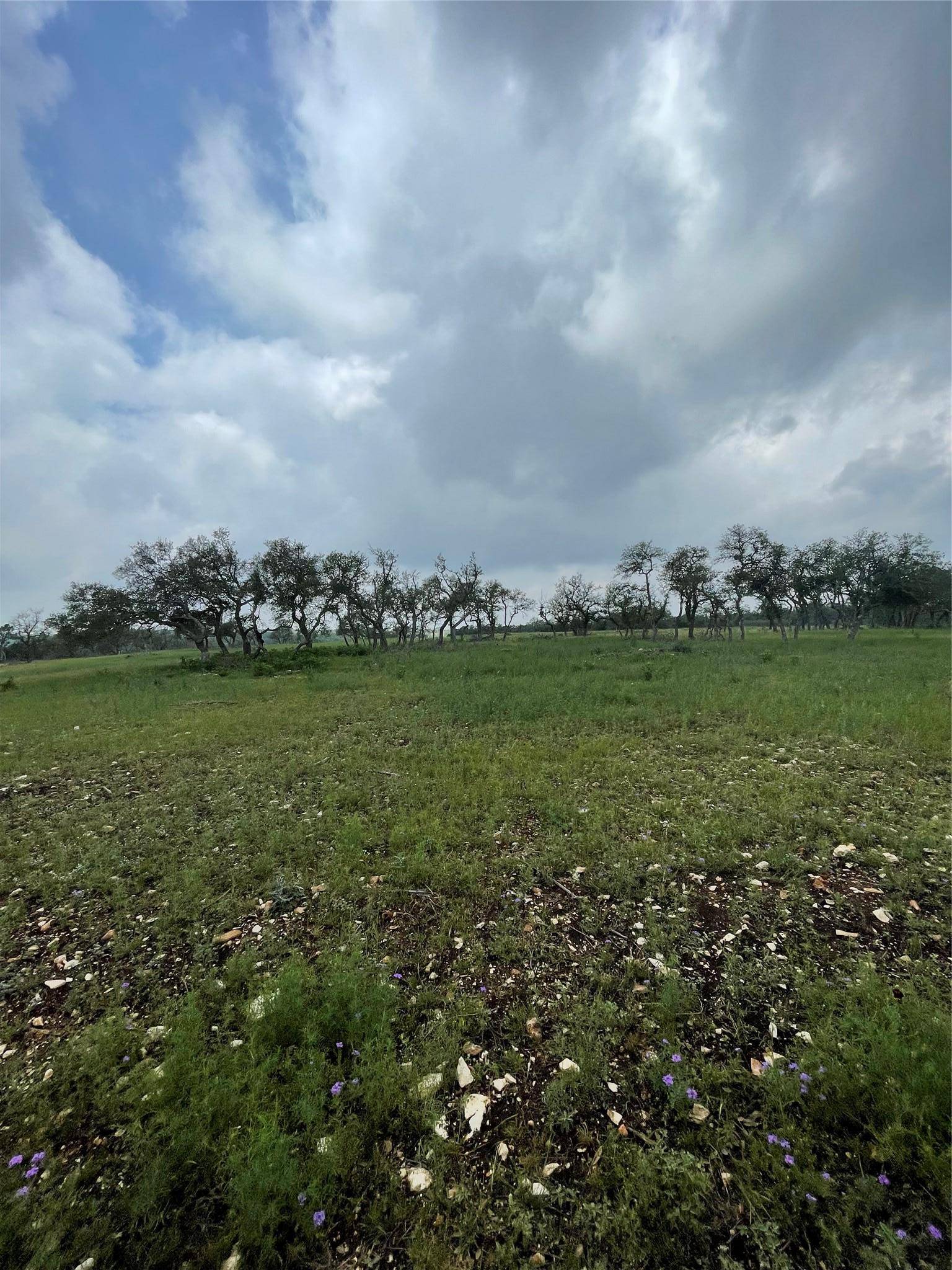 Blanco, TX 78606,TBD W Starview CV
