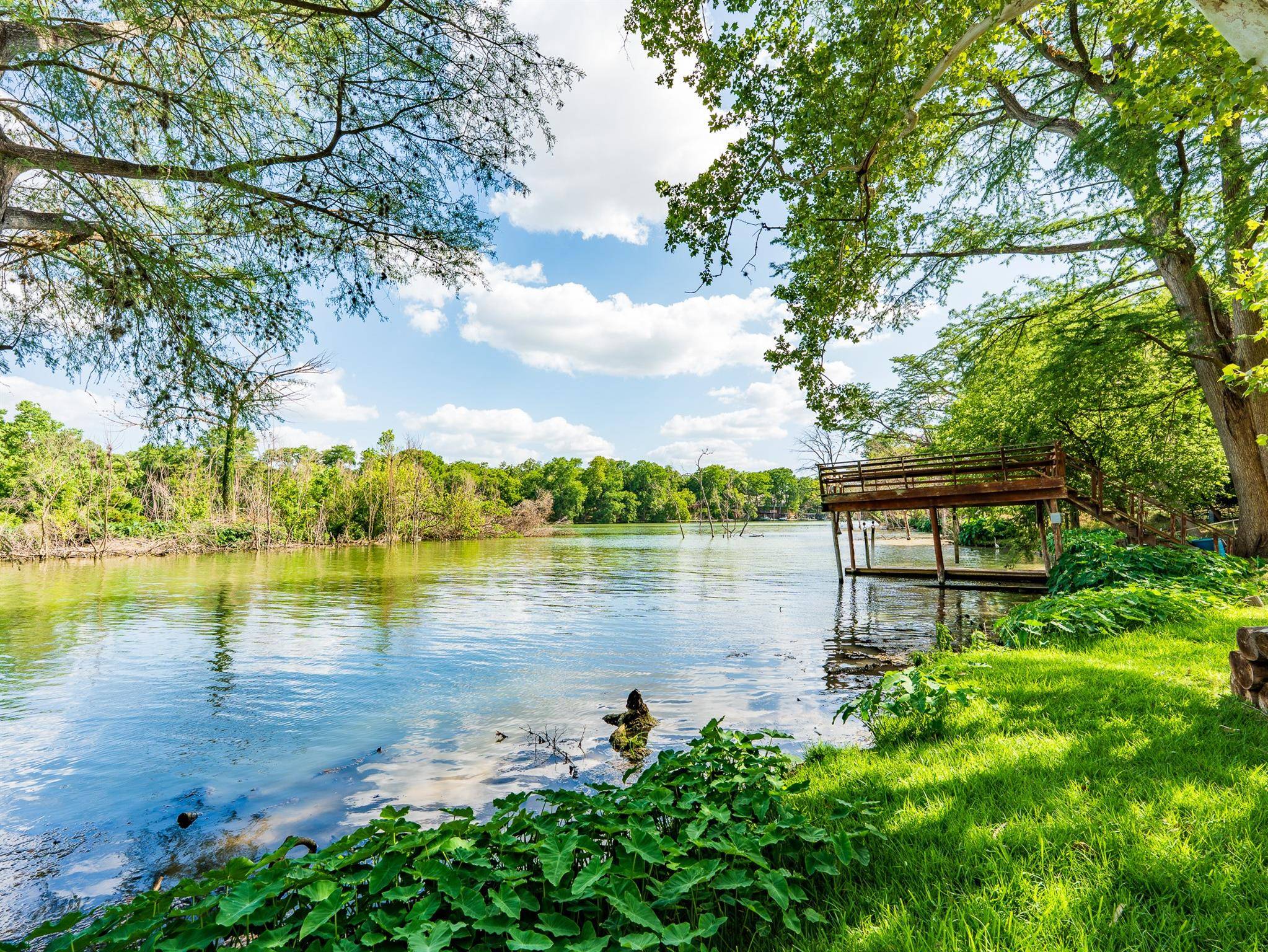 New Braunfels, TX 78130,1229 Lone Star DR