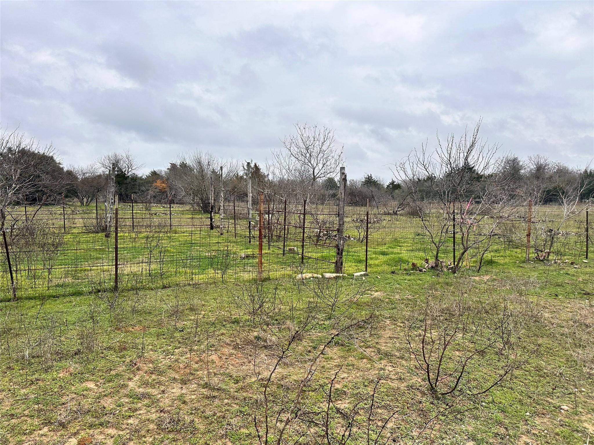 Luling, TX 78648,1208 Plant RD