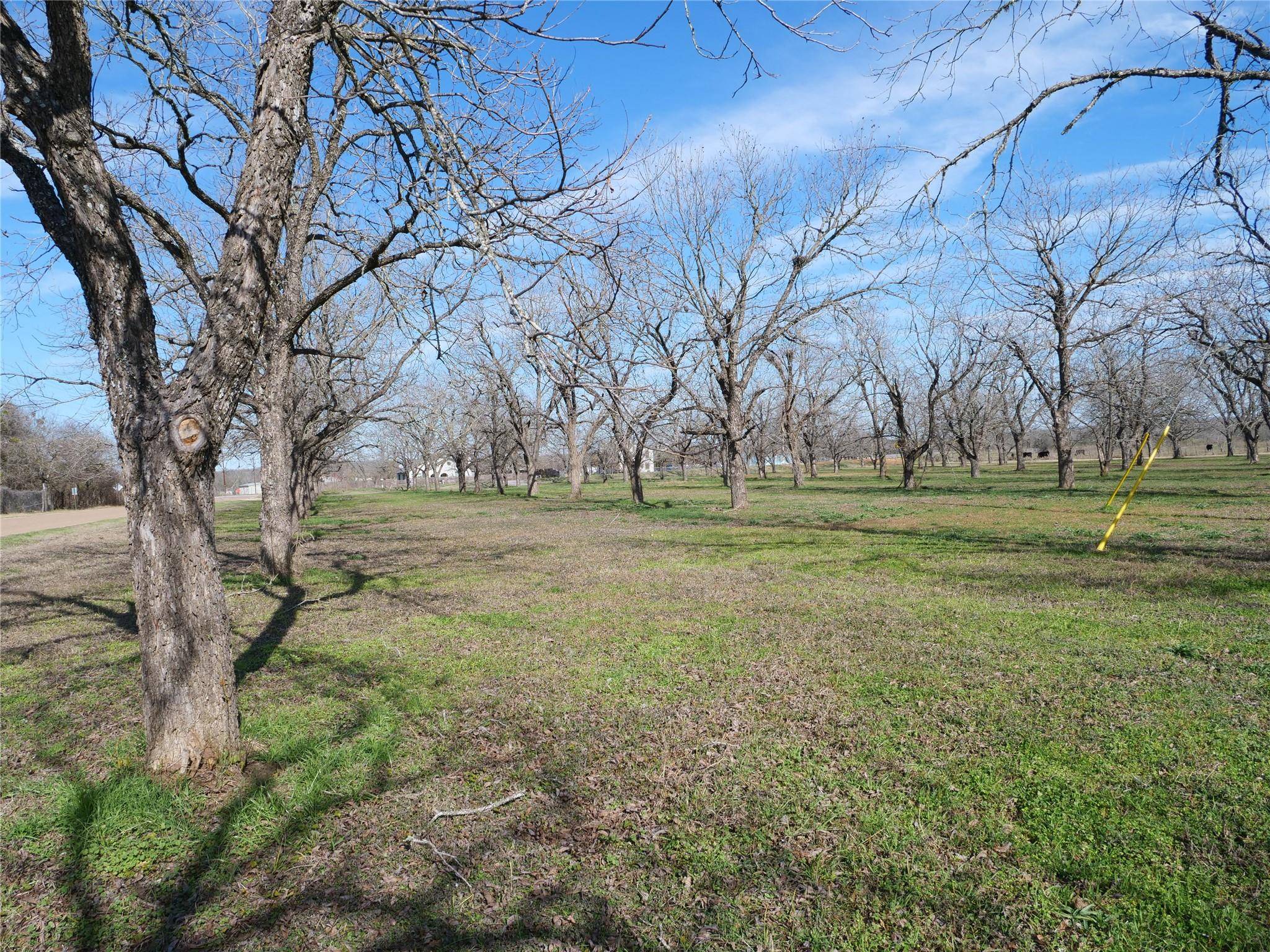 Elgin, TX 78621,123 LAZY RIVER LN