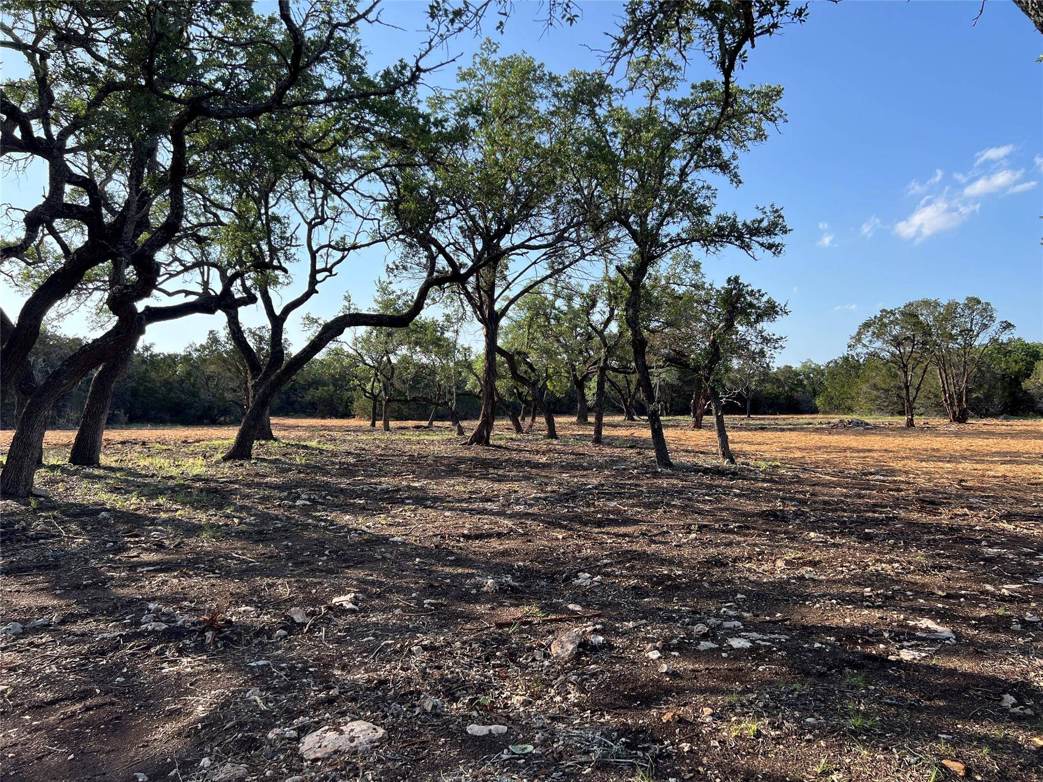 Dripping Springs, TX 78620,300 Stonegate LN