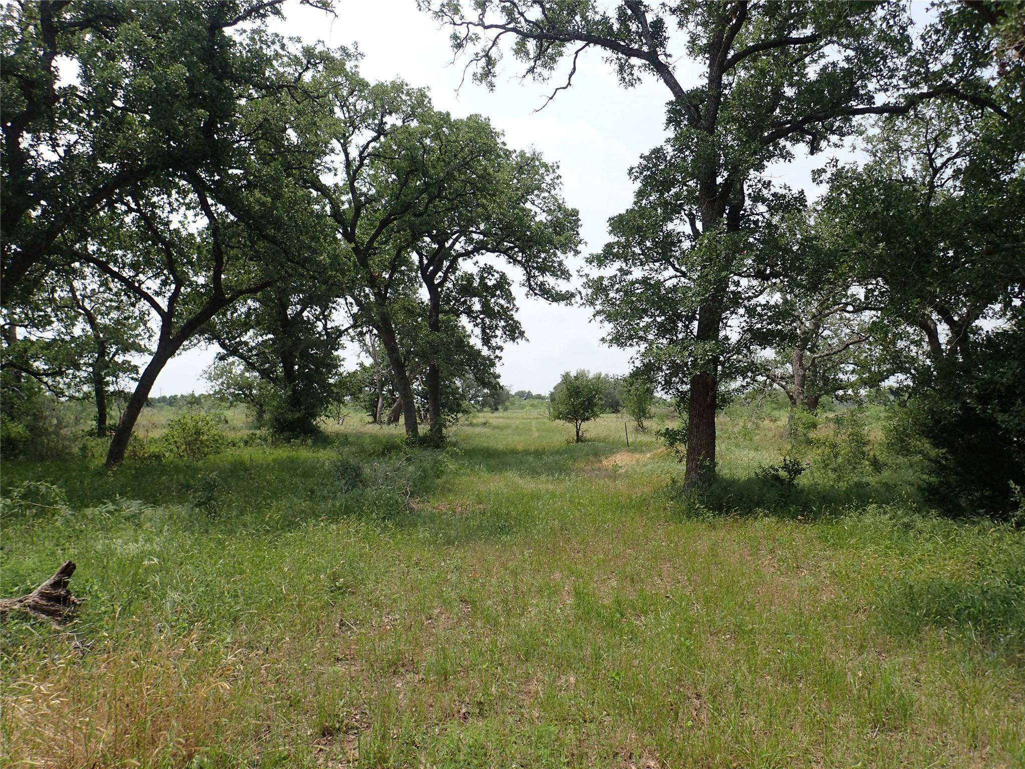 Harwood, TX 78632,1140 Chalk RD