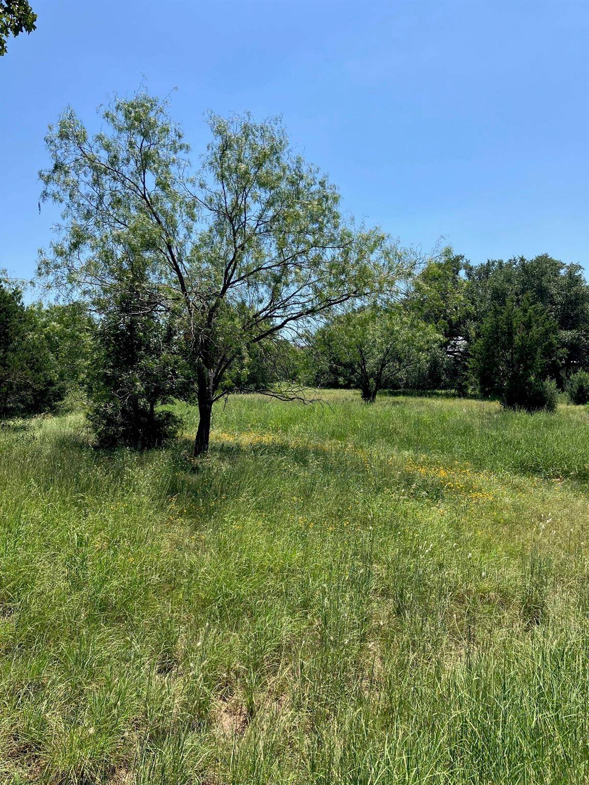 Horseshoe Bay, TX 78657,W19002 Fault Line DR