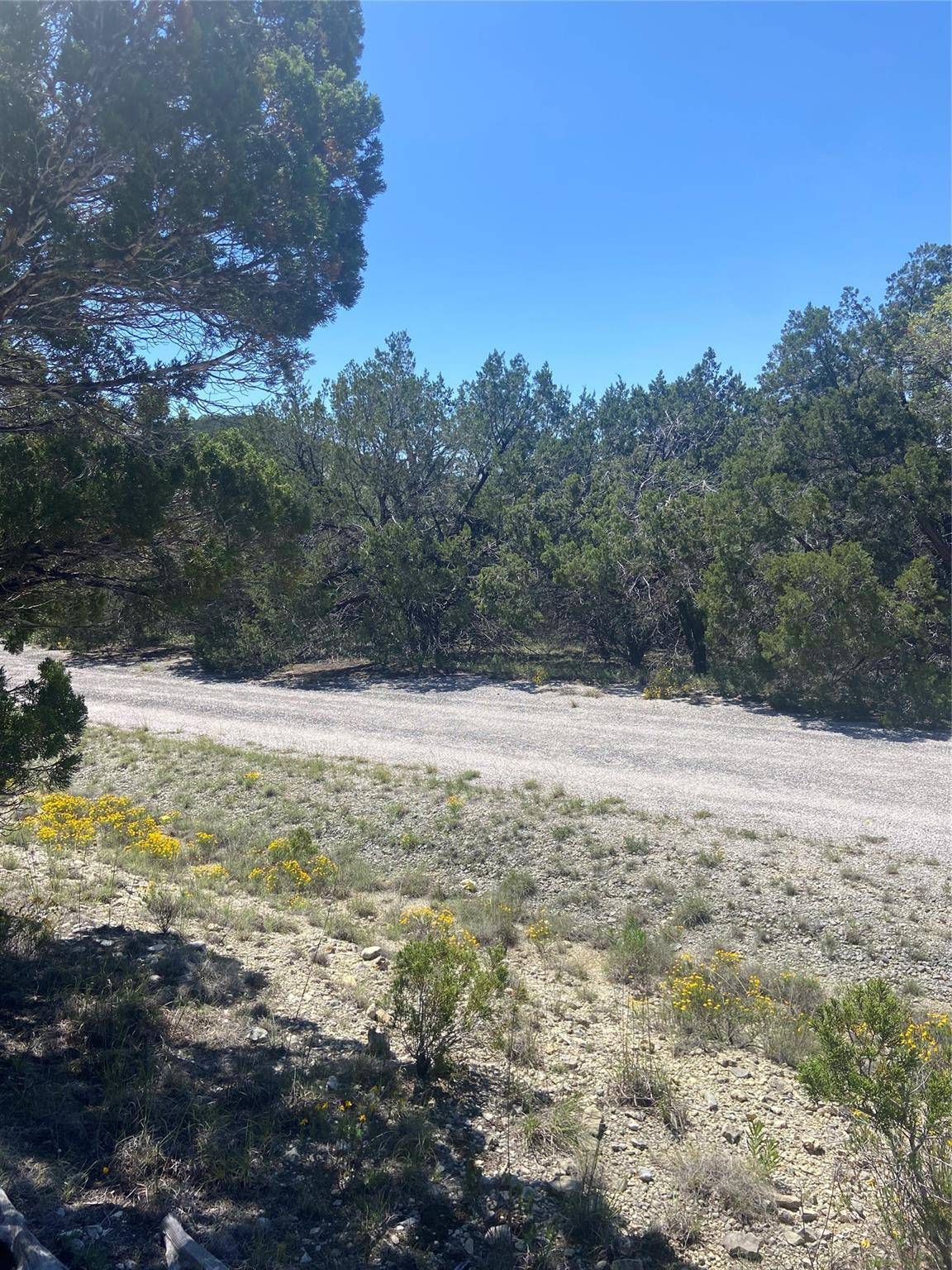 Lago Vista, TX 78645,20702 Appaloosa TRL