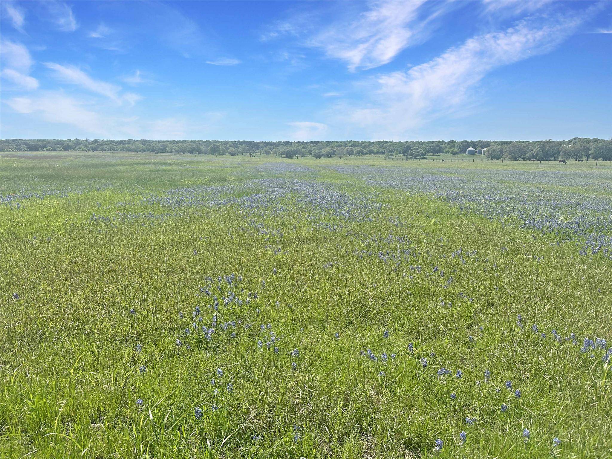 Schulenburg, TX 78956,2523 Roitsch RD