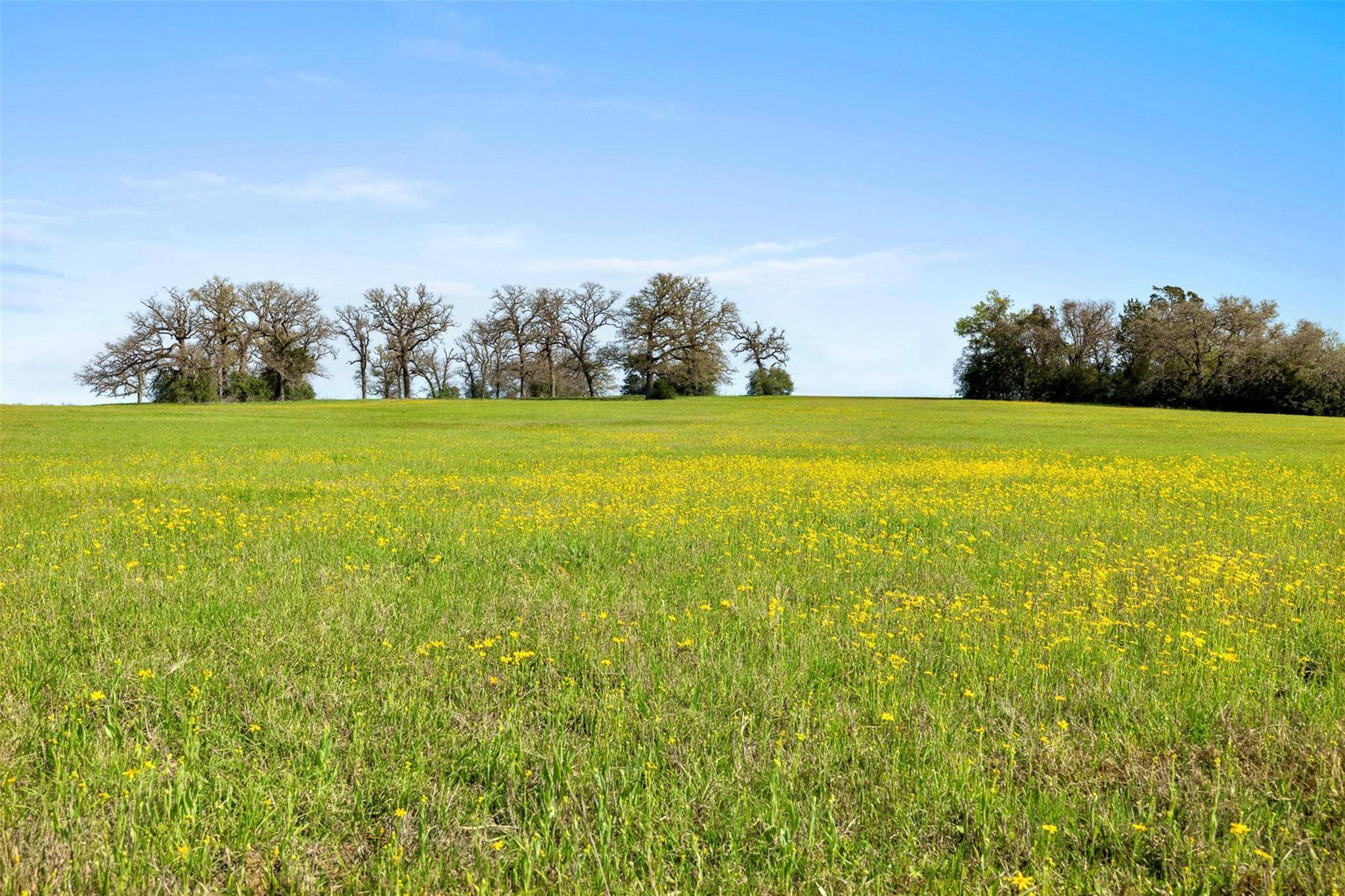 Lexington, TX 78947,000 CR 322