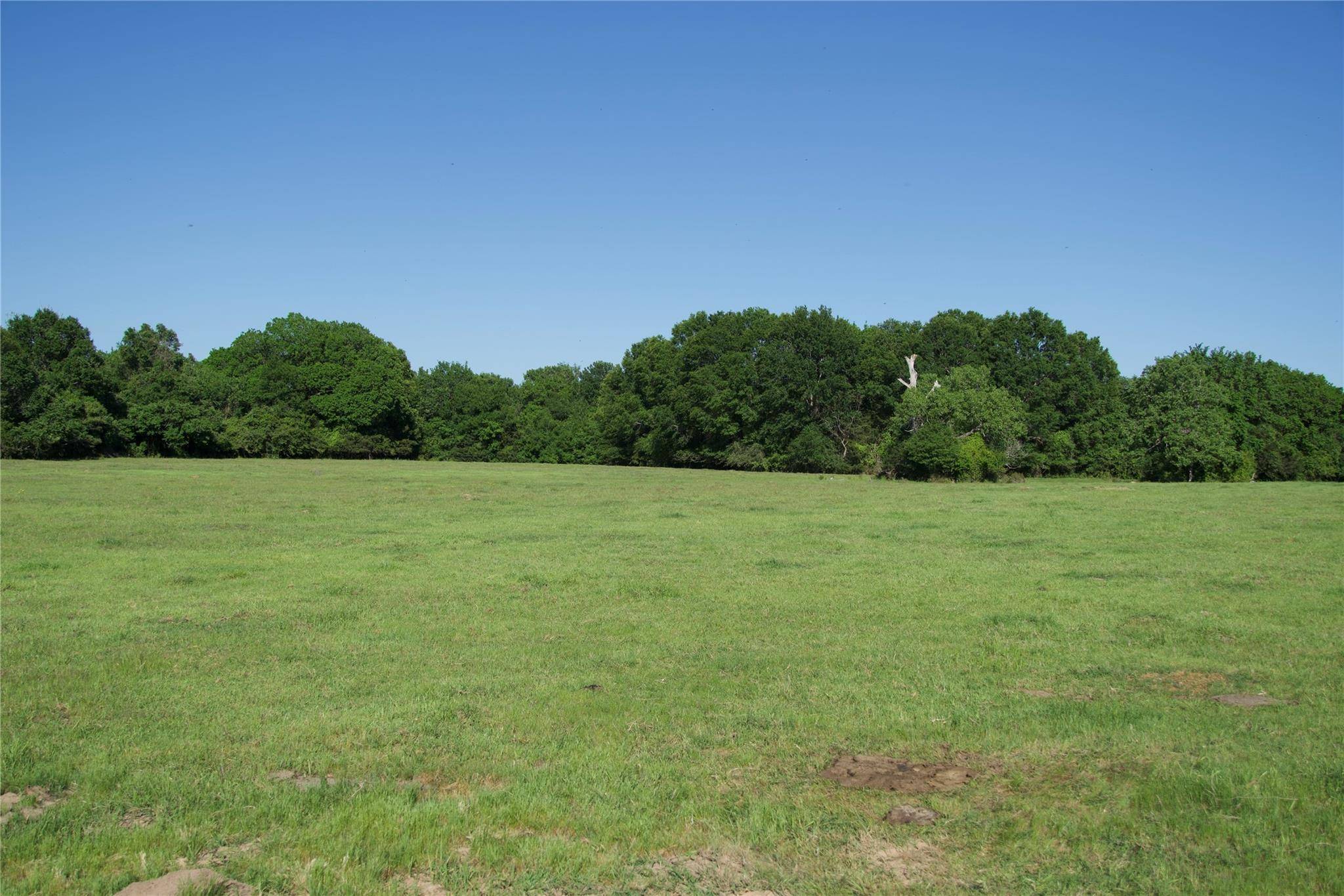 Paige, TX 78659,TBD St Delight Rd (Tract 10)