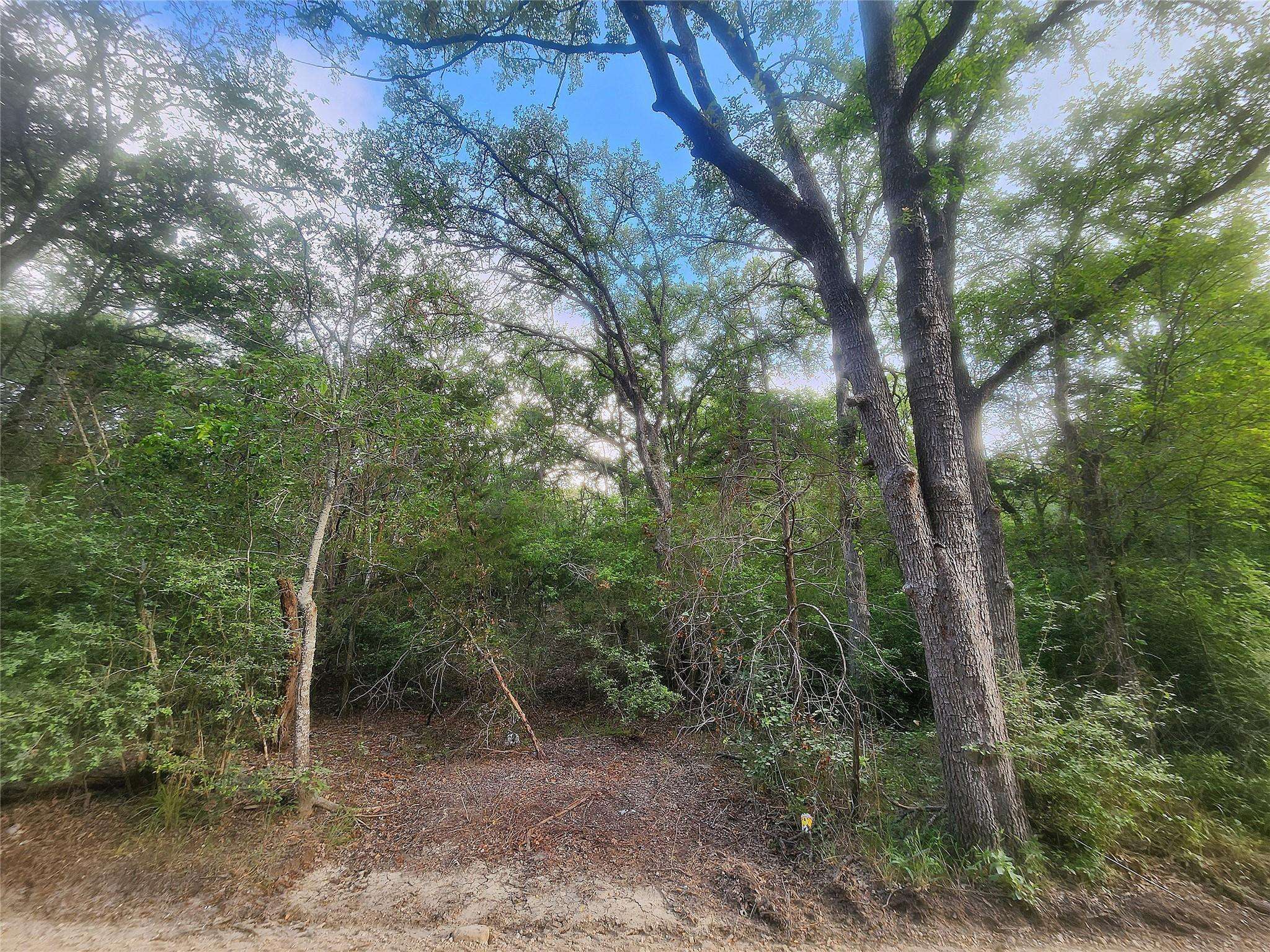 Bastrop, TX 78602,TBD Post Oak Rim DR