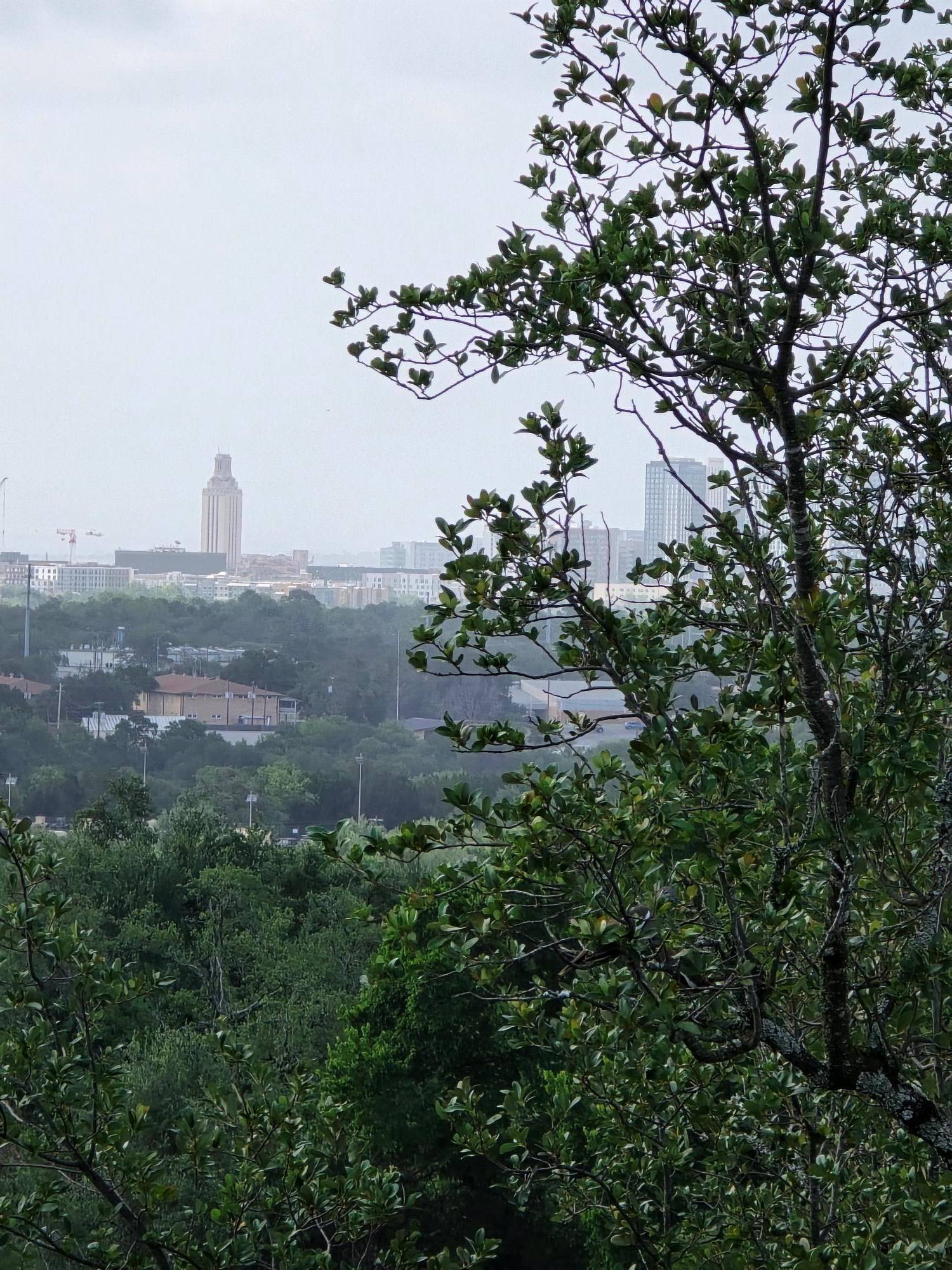 Austin, TX 78731,3403 Spanish Oak DR