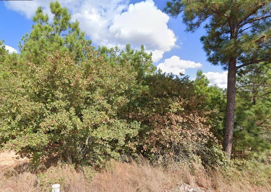 Bastrop, TX 78602,TBD Makaha ST