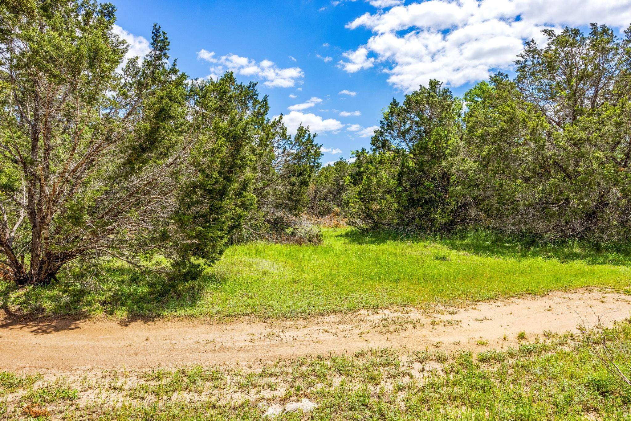 Wimberley, TX 78676,Lot 203 Summertime CIR