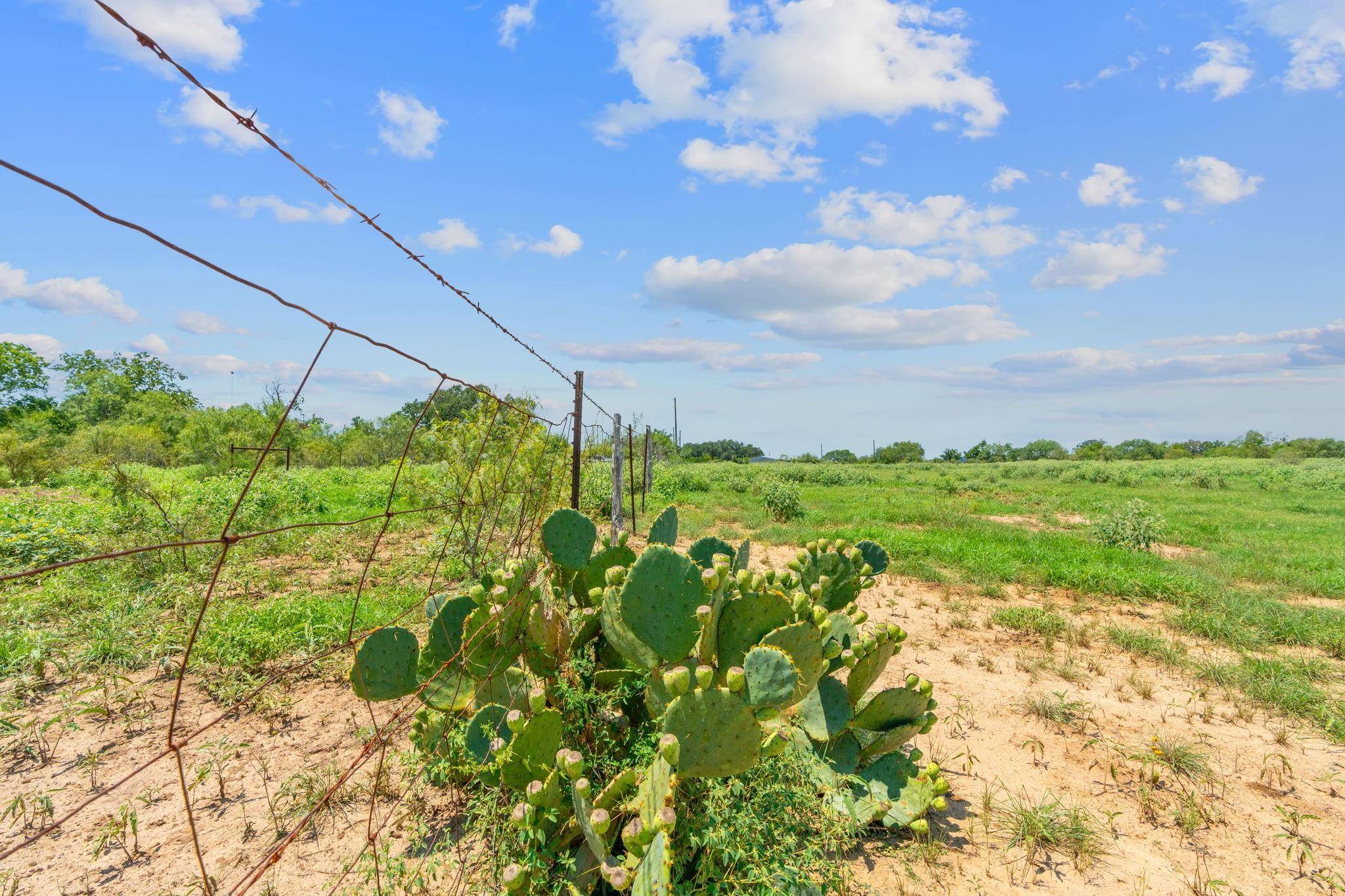 Harwood, TX 78629,LOT 8 County Road 280