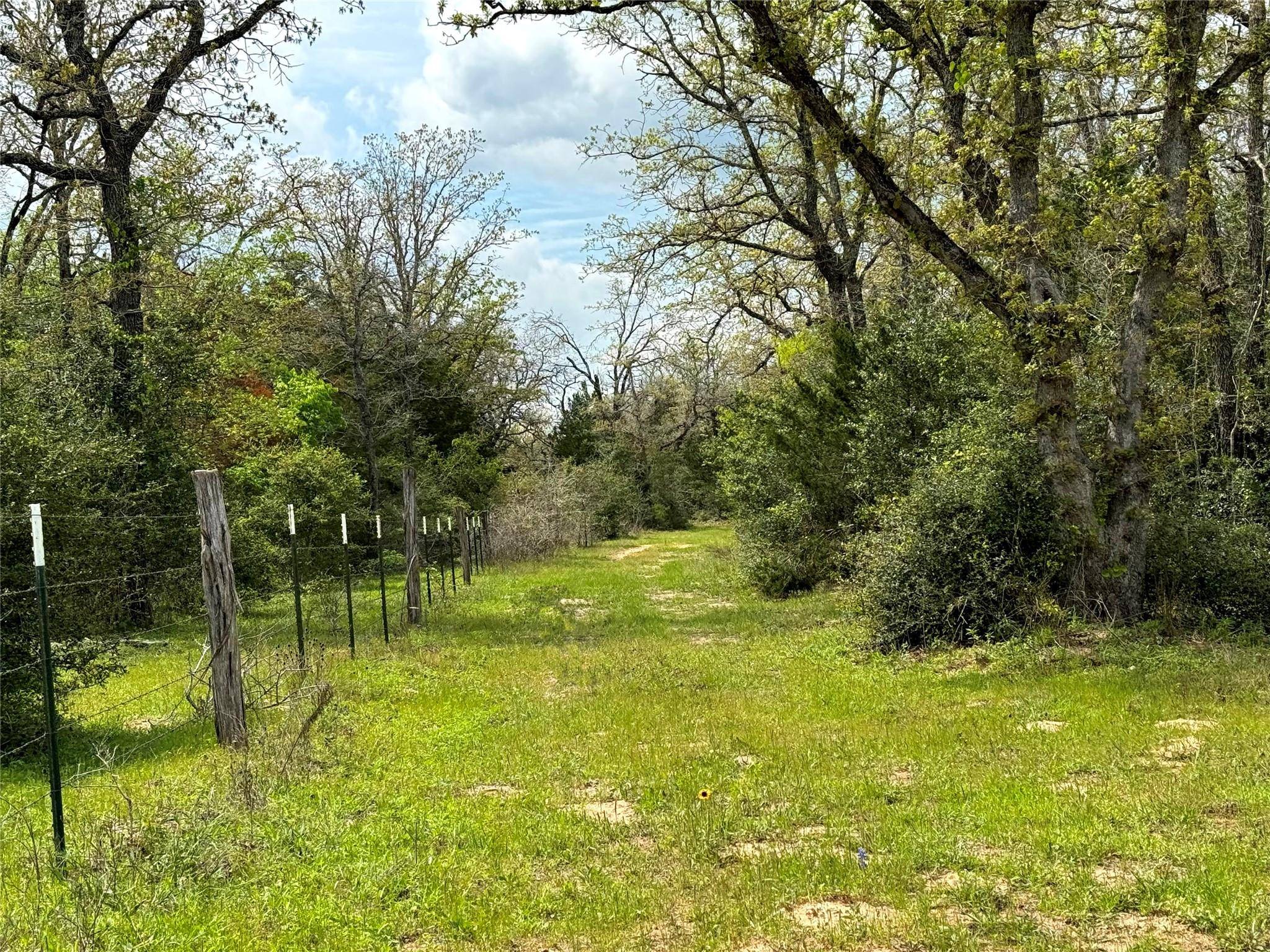 Harwood, TX 78632,Address not disclosed