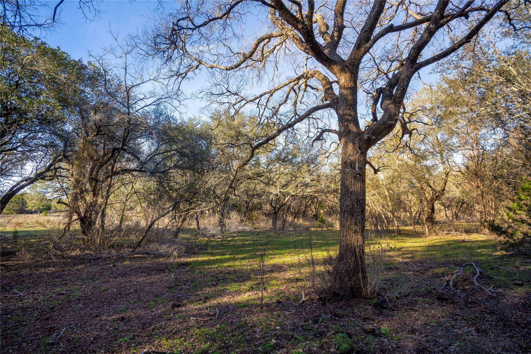 Bertram, TX 78611,333 Flying B Ranch RD