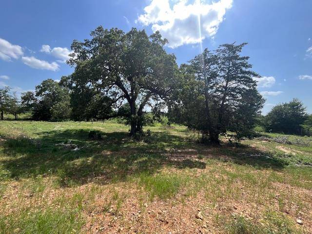 Paige, TX 78659,Antioch Antioch RD