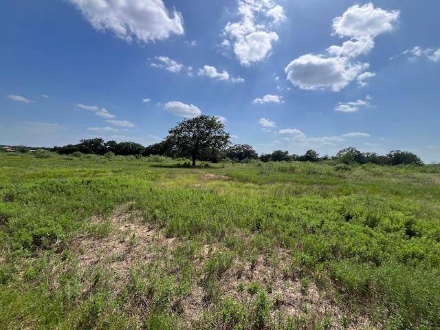 Paige, TX 78659,Antioch Antioch RD