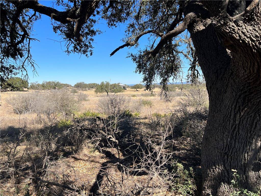 Round Mountain, TX 78663,25 Kylie Rae CT