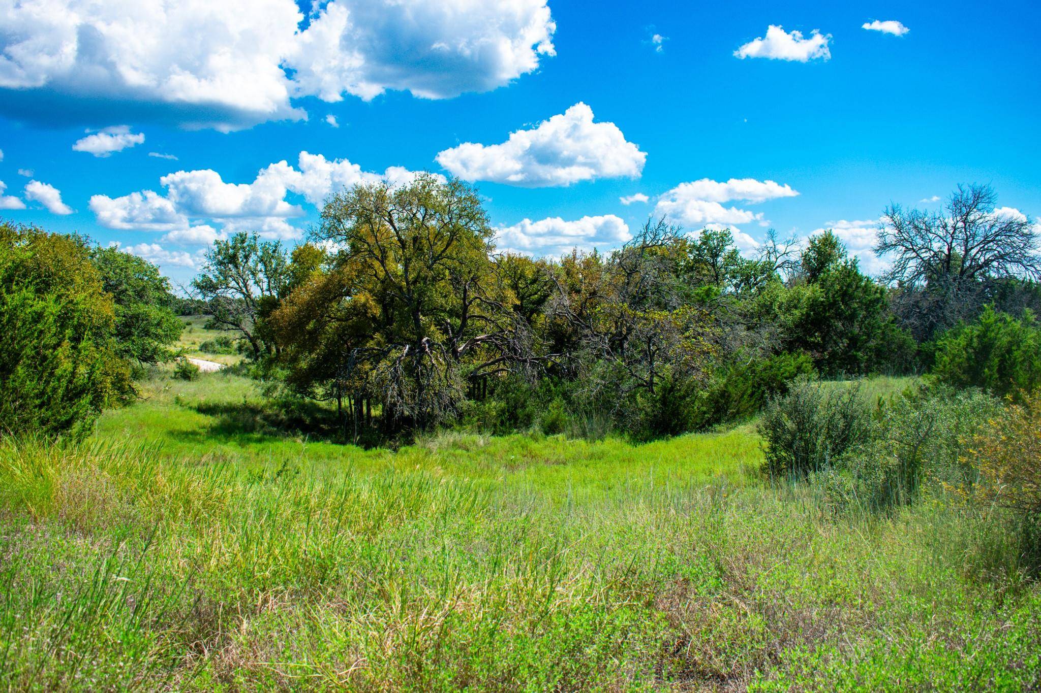 Kempner, TX 76539,Lot 80 Private Road 4718